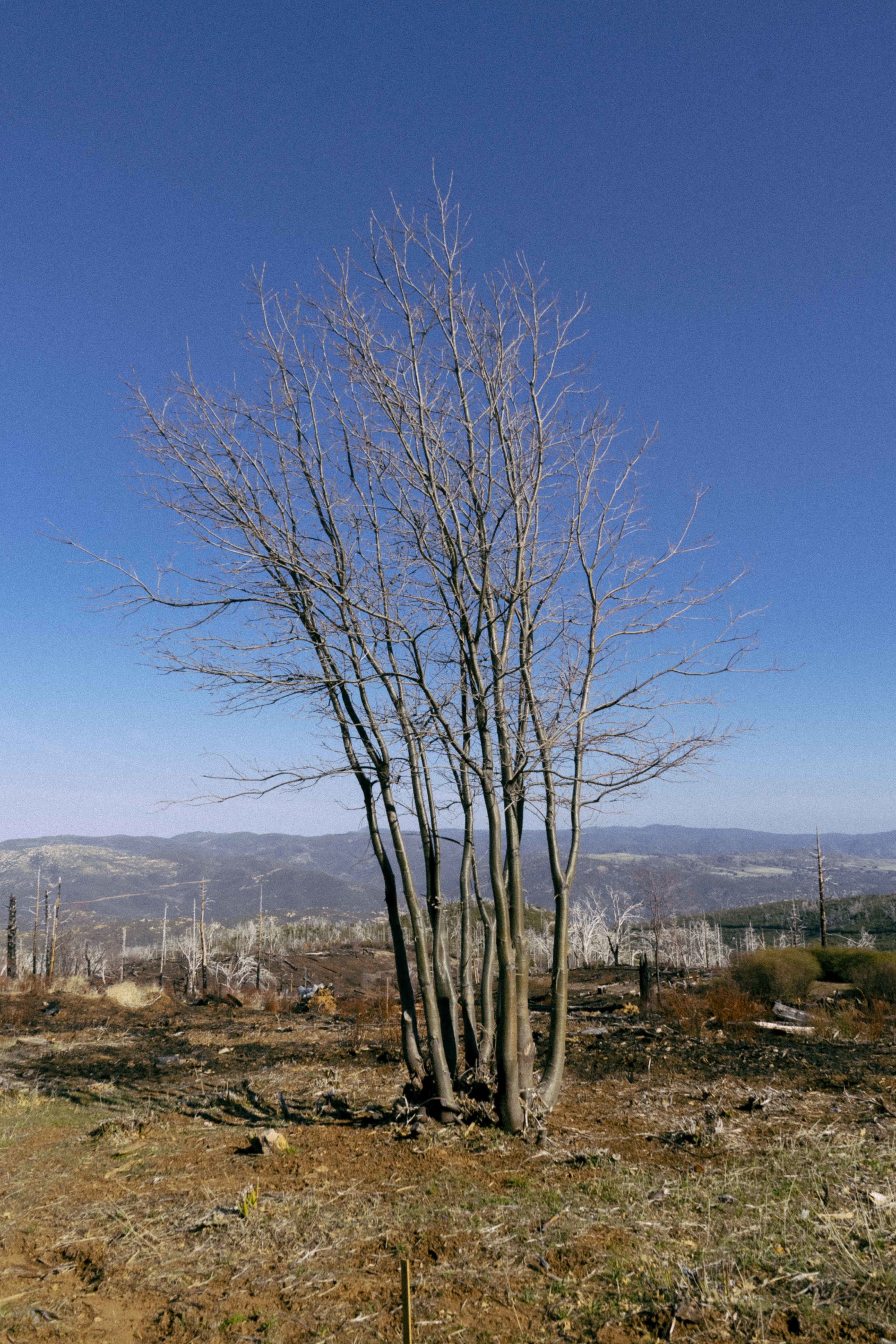 DSC09623.jpg