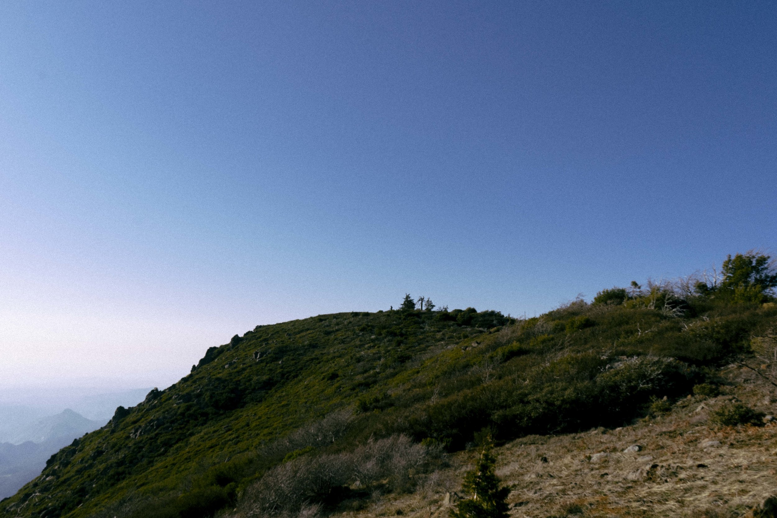 DSC09643.jpg