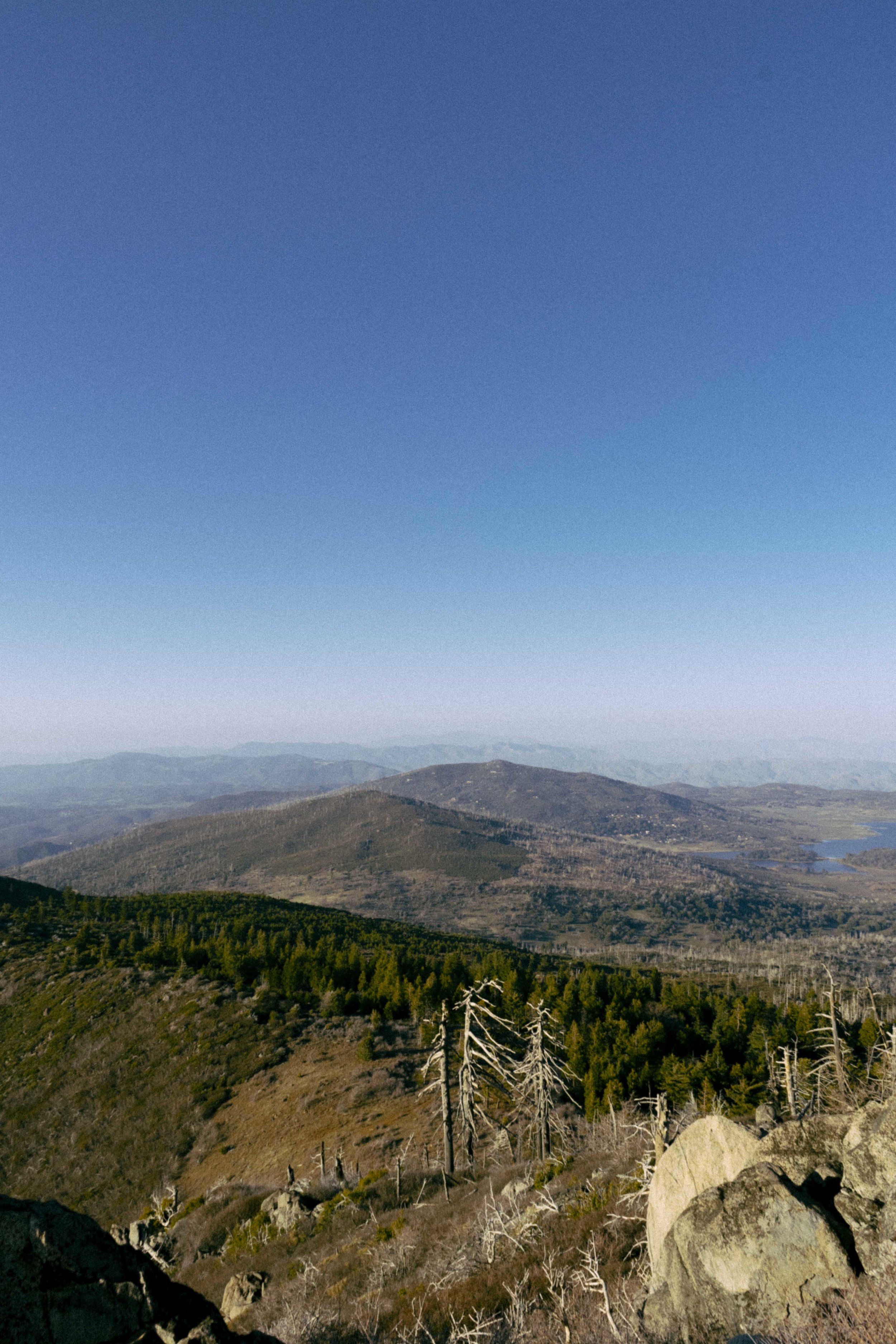 DSC09672.jpg
