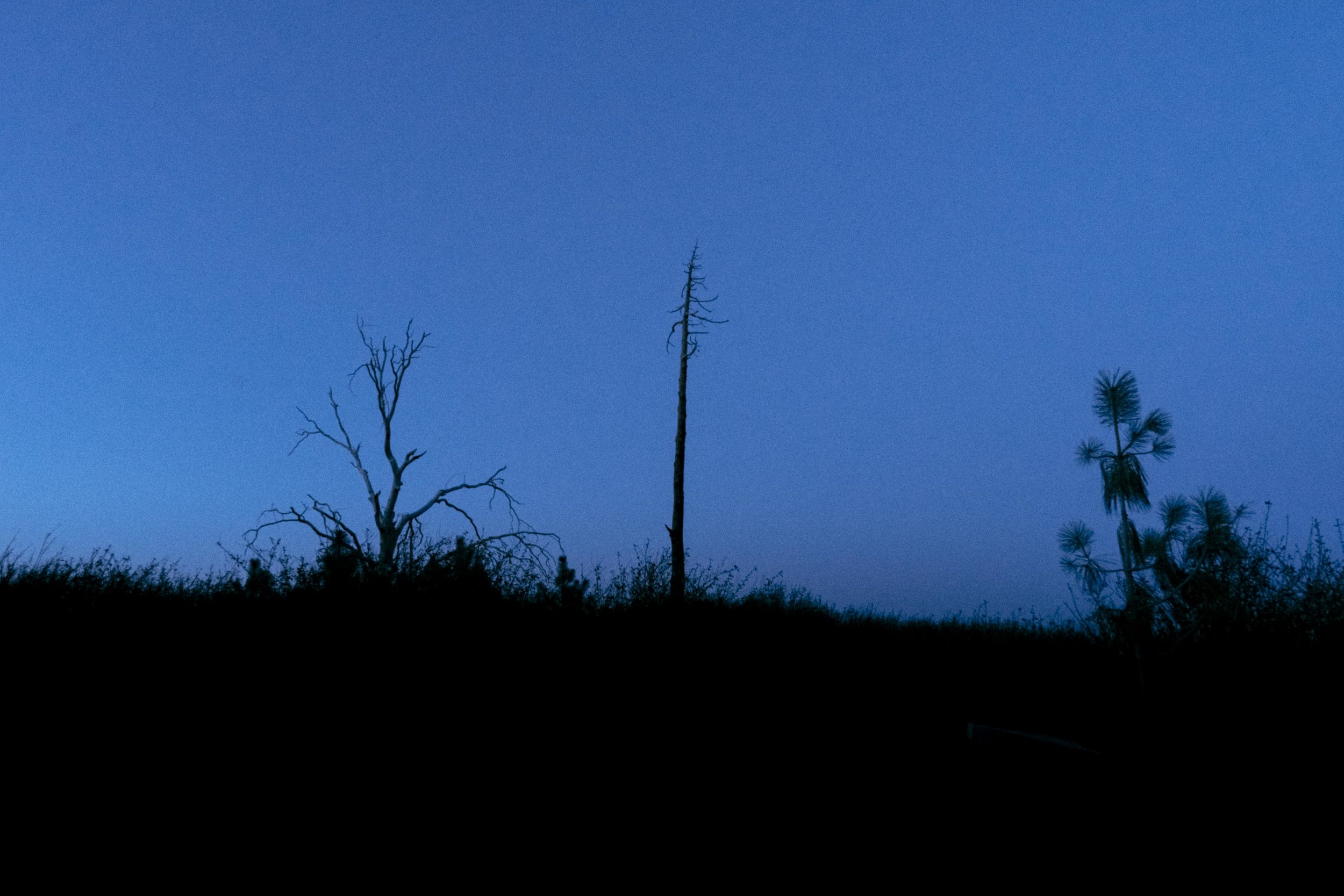 DSC09812.jpg