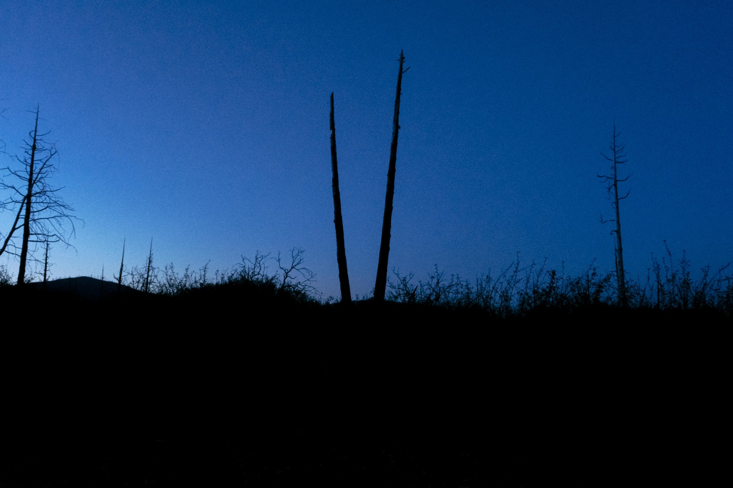 DSC09818.jpg