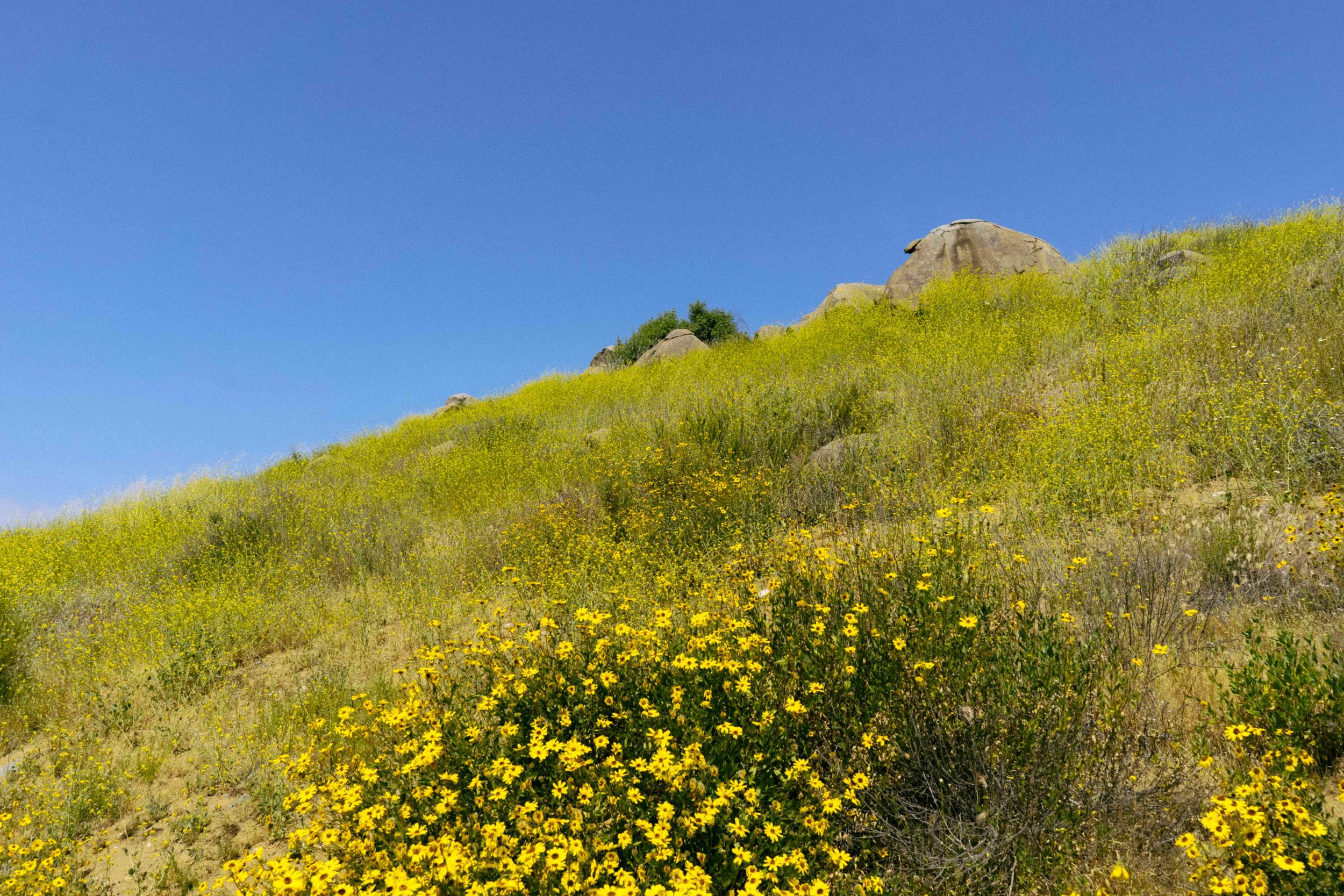 DSC09865.jpg