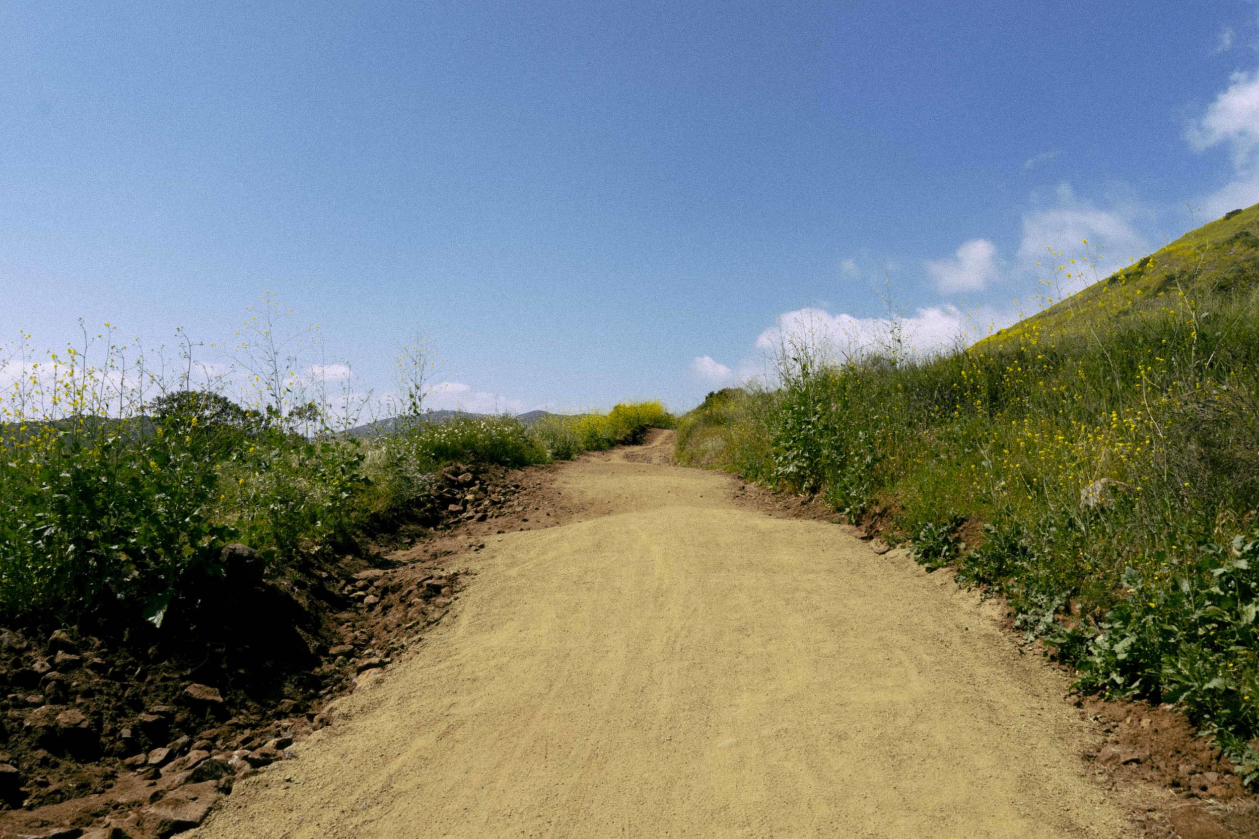 DSC09902.jpg