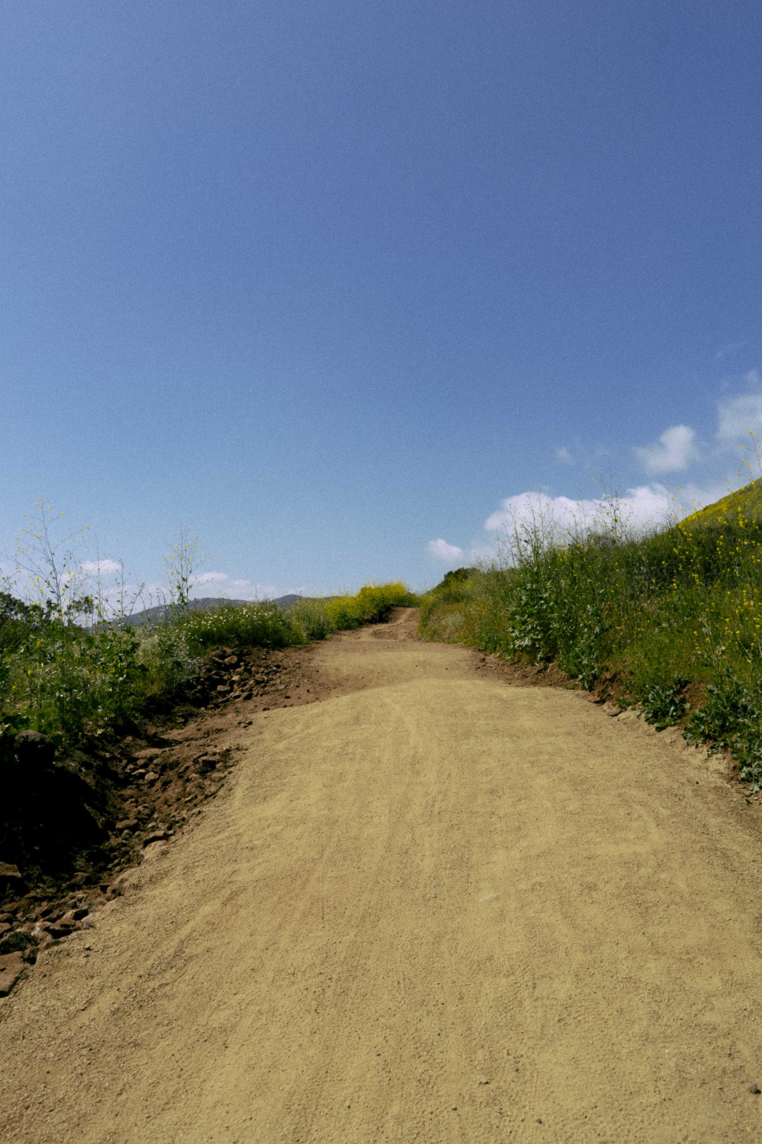 DSC09903.jpg