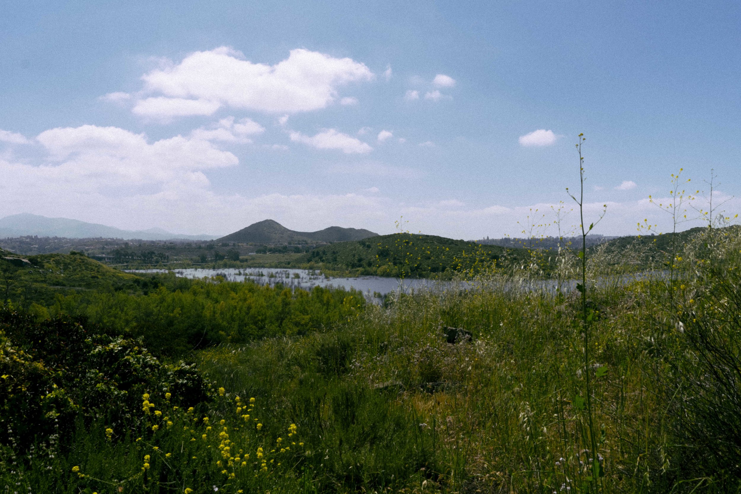 DSC09905.jpg