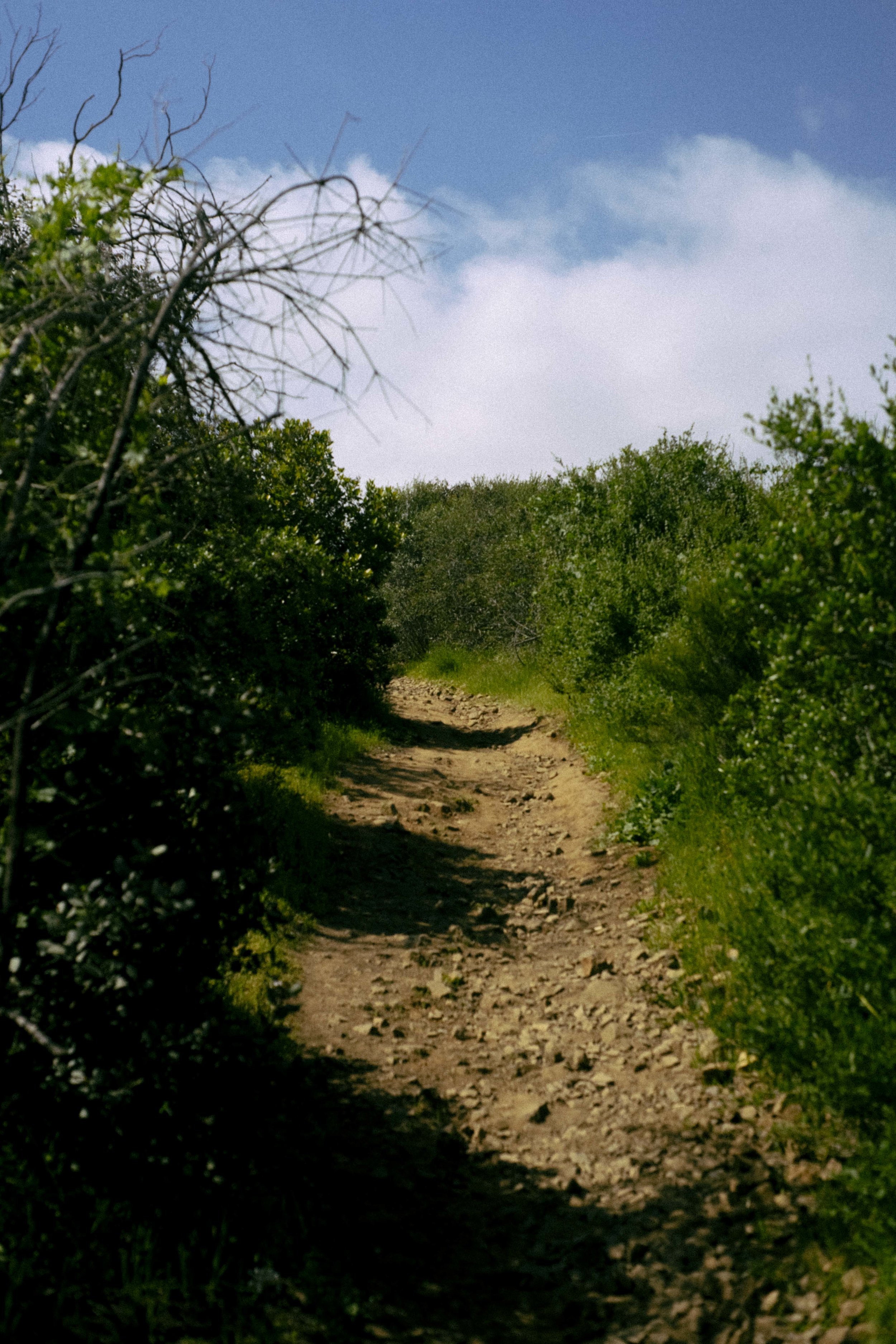DSC09925.jpg