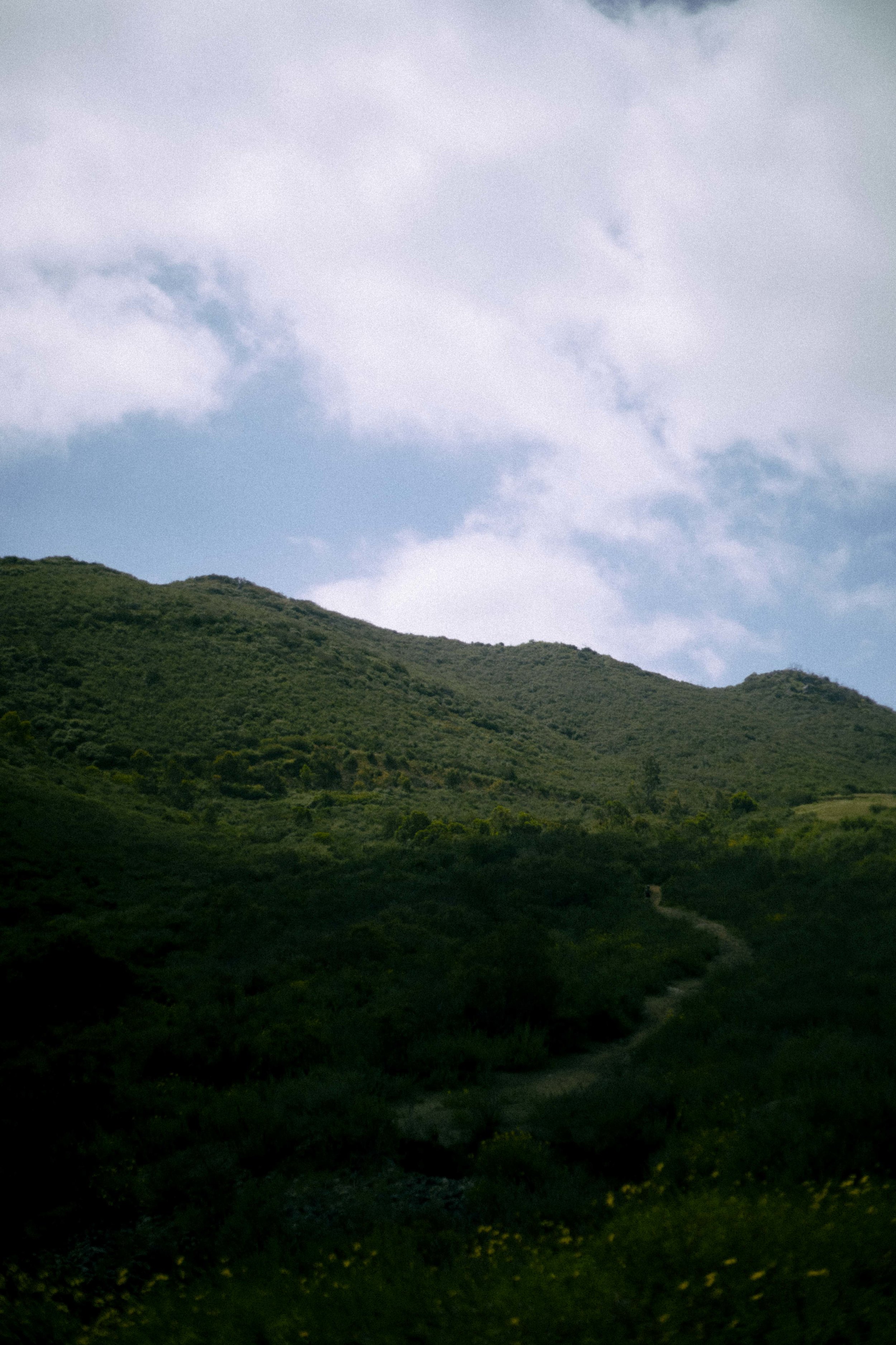 DSC09934.jpg