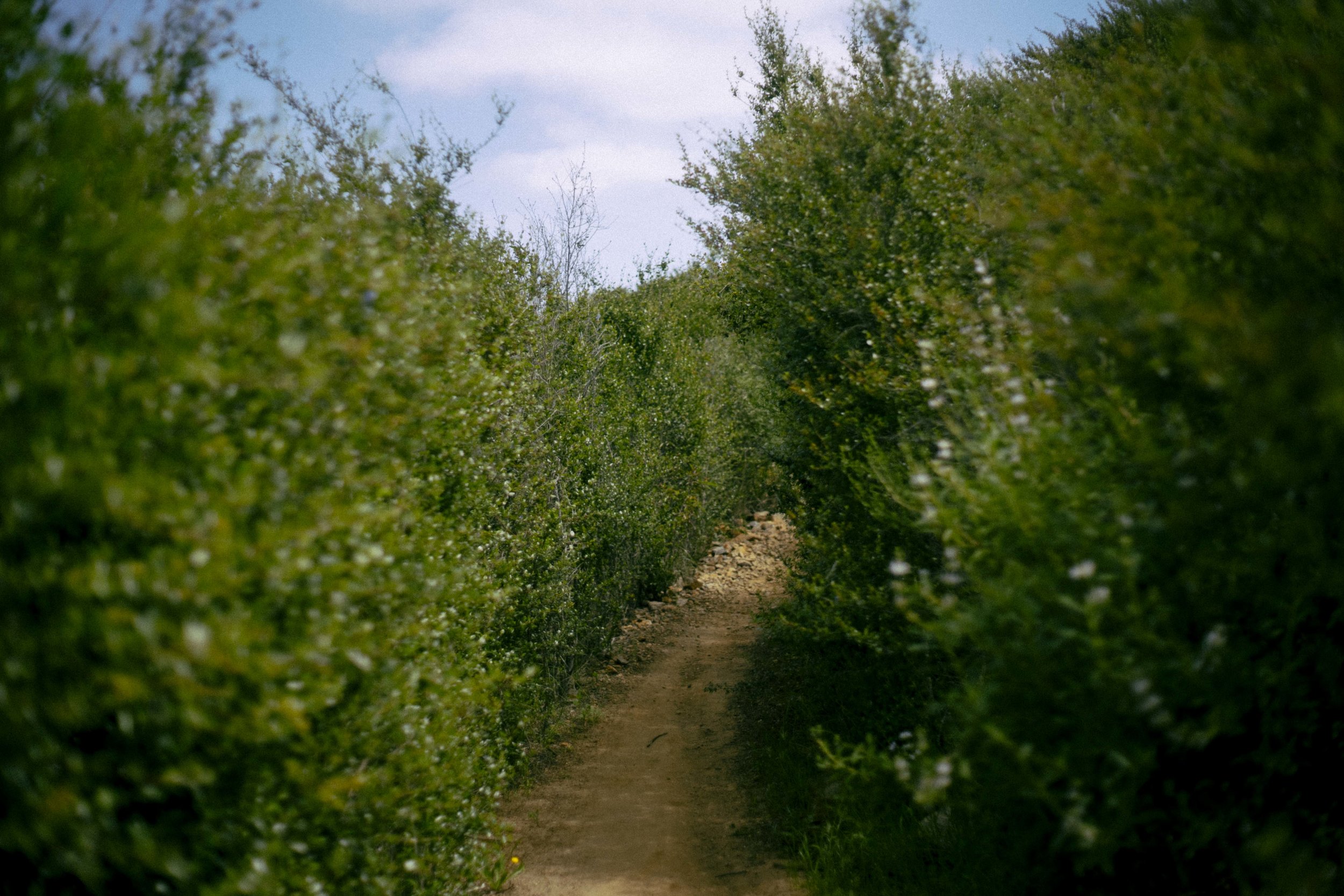 DSC09966.jpg