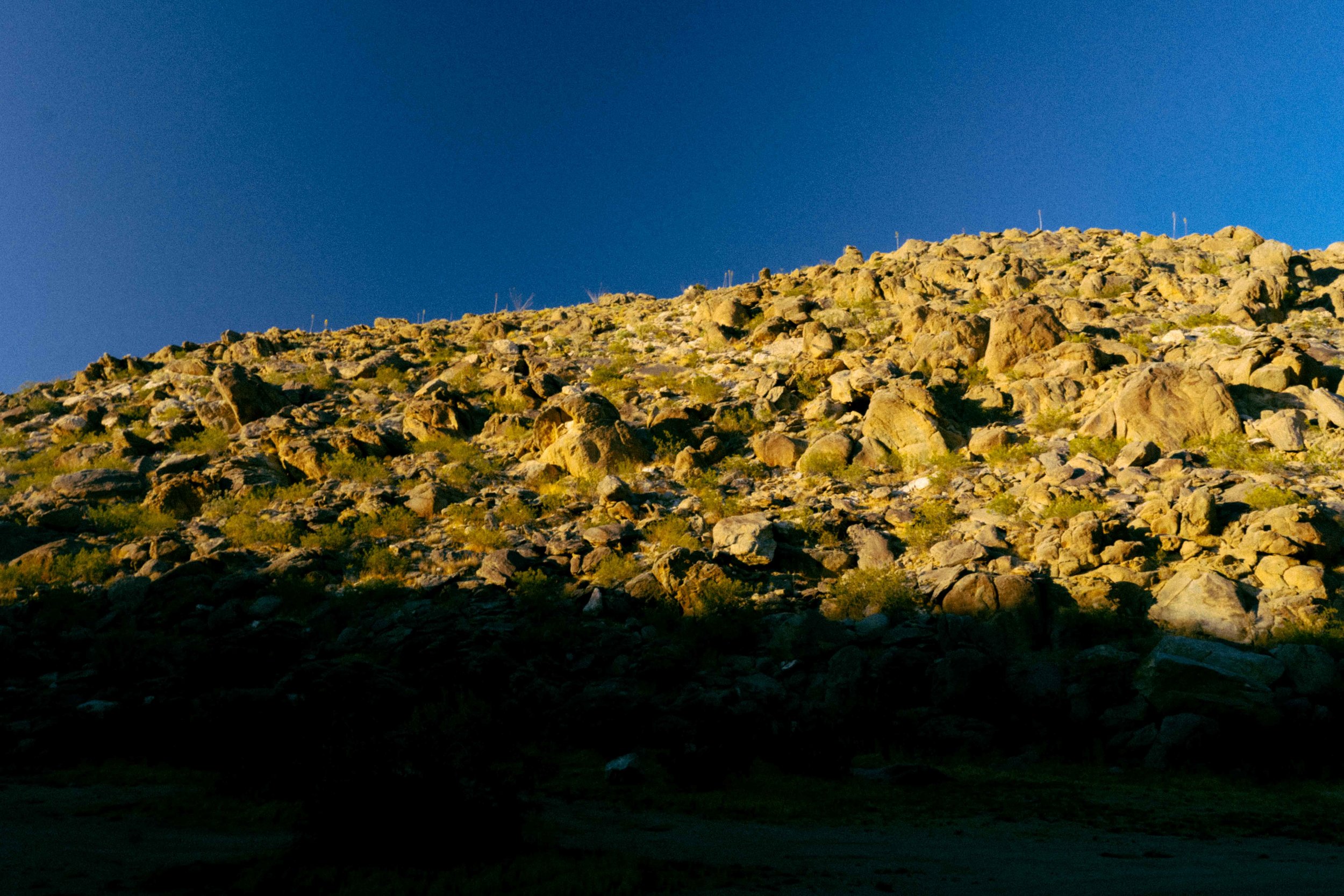 DSC00789.jpg