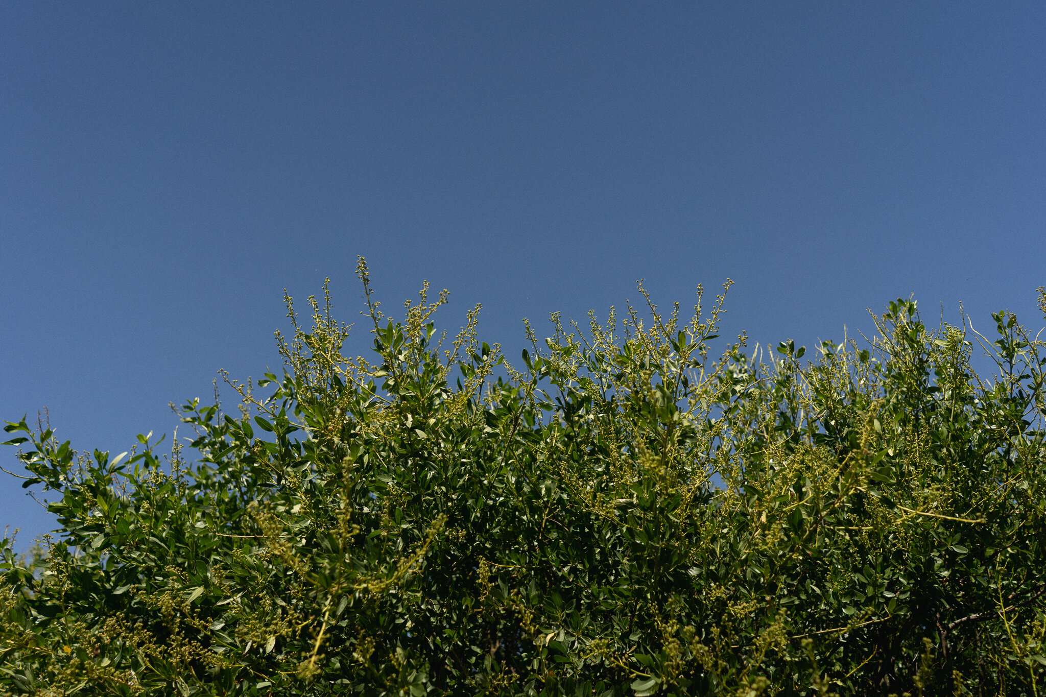 DSC05334.jpg