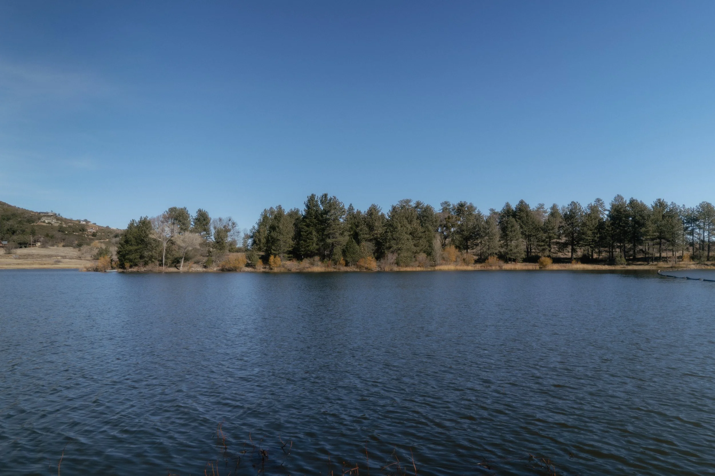 _DSC2095.jpg