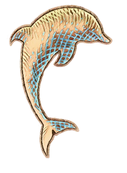 Animation_Dophin.png