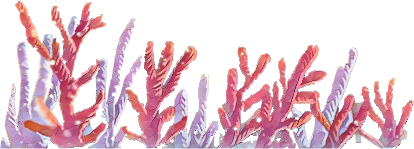 Coral Effect copy.png
