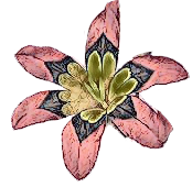 Girls Guy Flower 1 copy.png