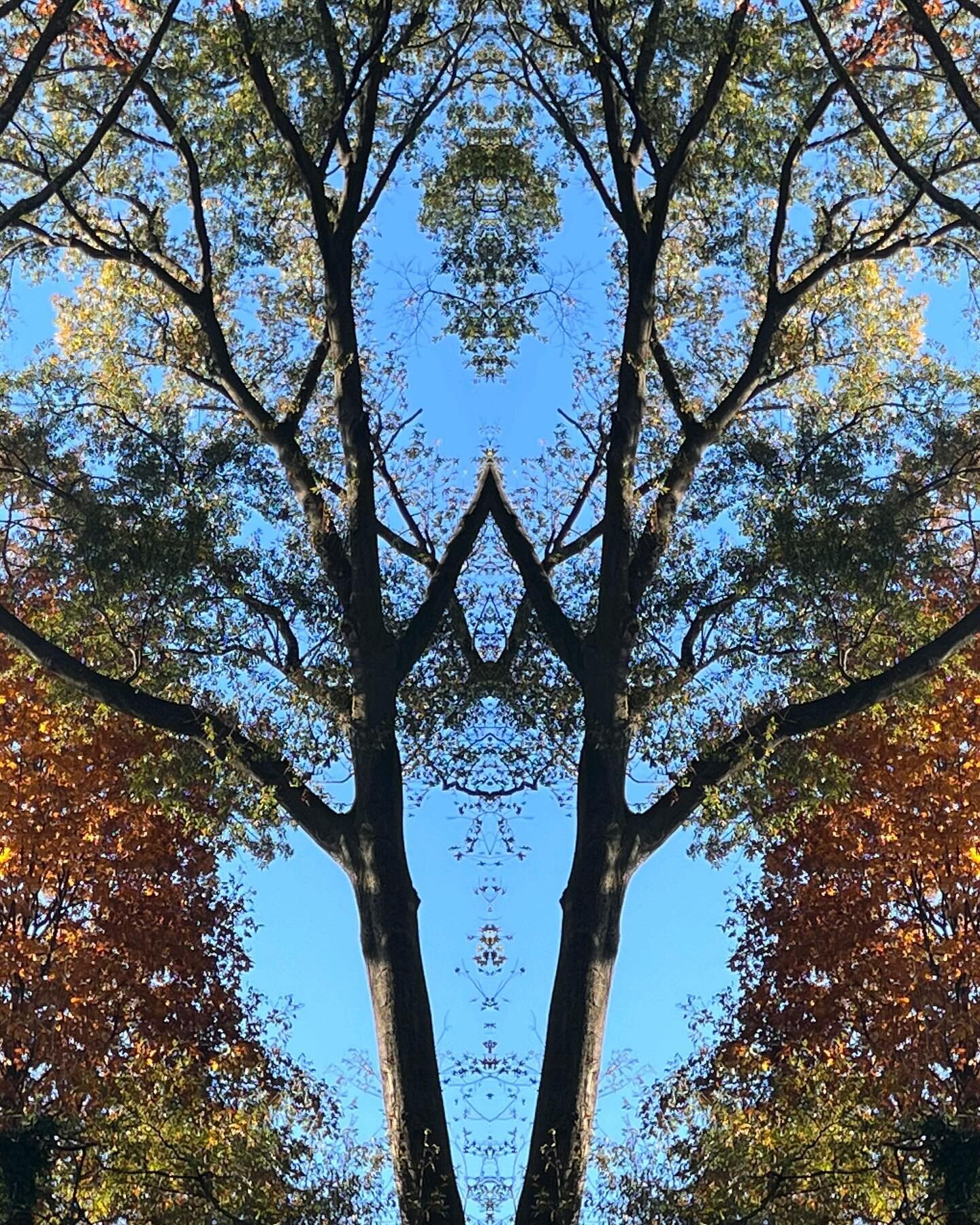 Backyard mirror shots&hellip;