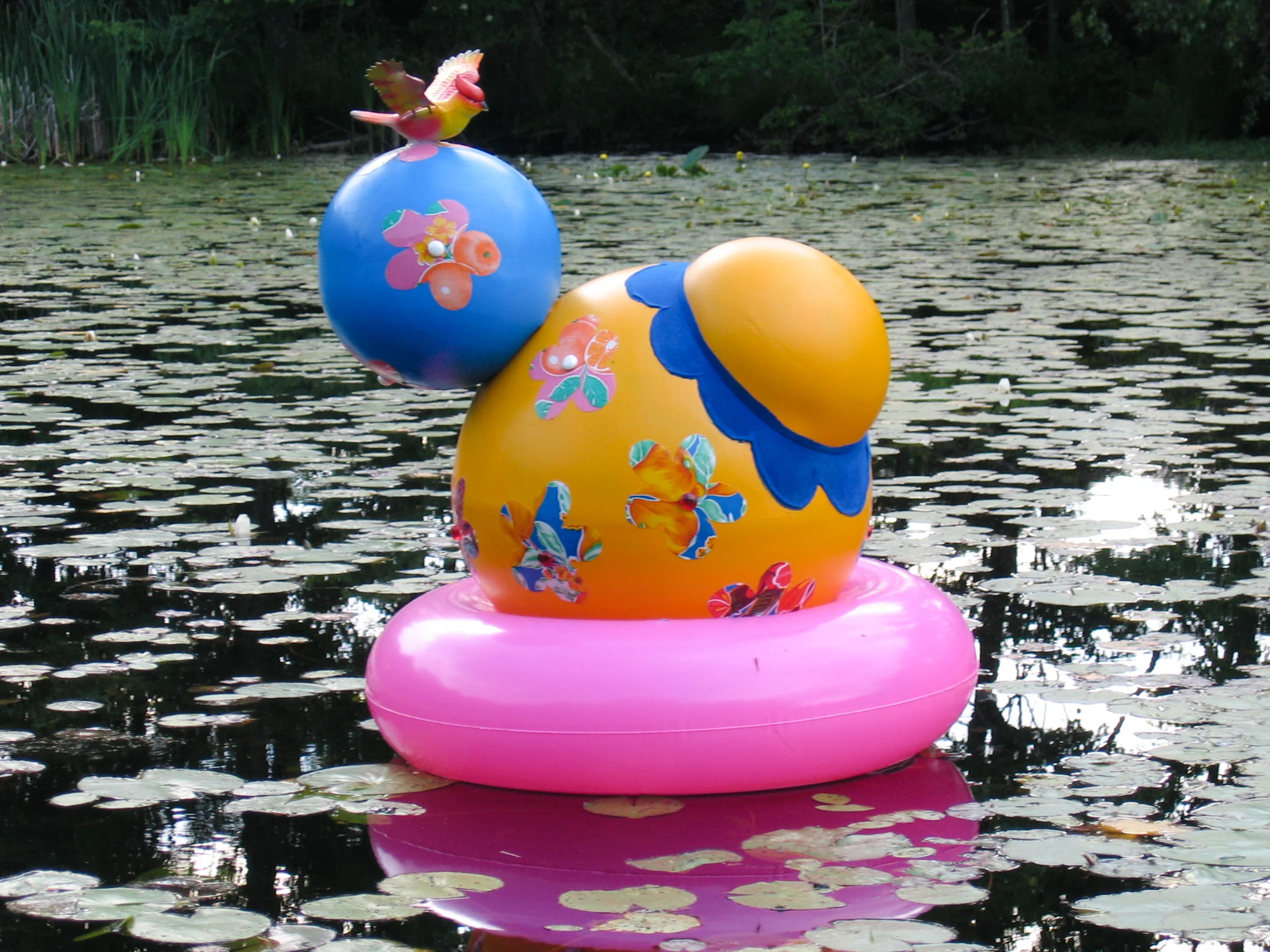 Anomaly_Pond-4.jpg