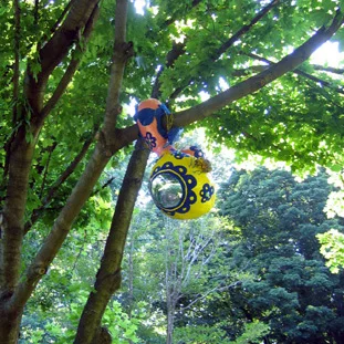 anomalytree_4 copy.jpg