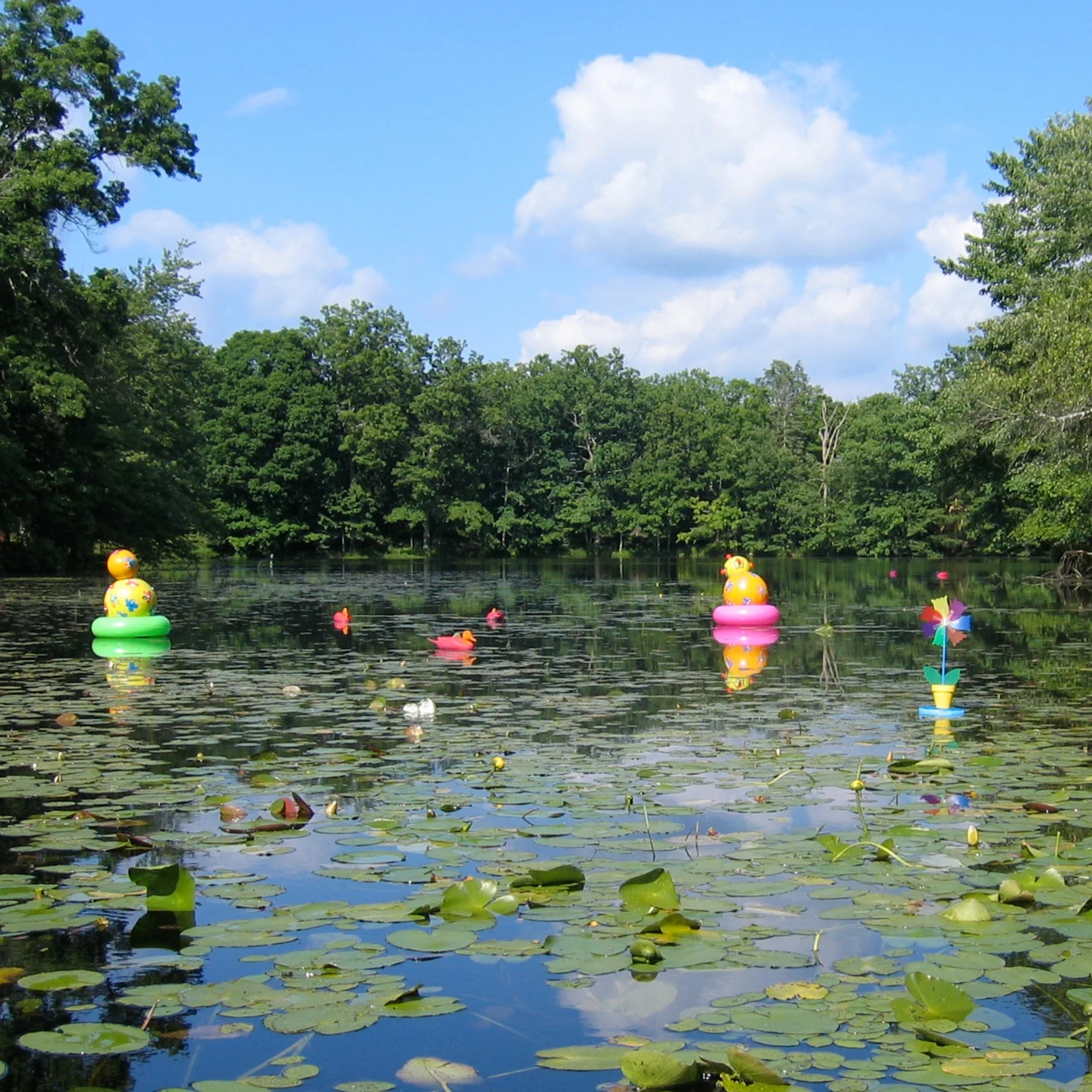 Anomaly_Pond-1.jpg