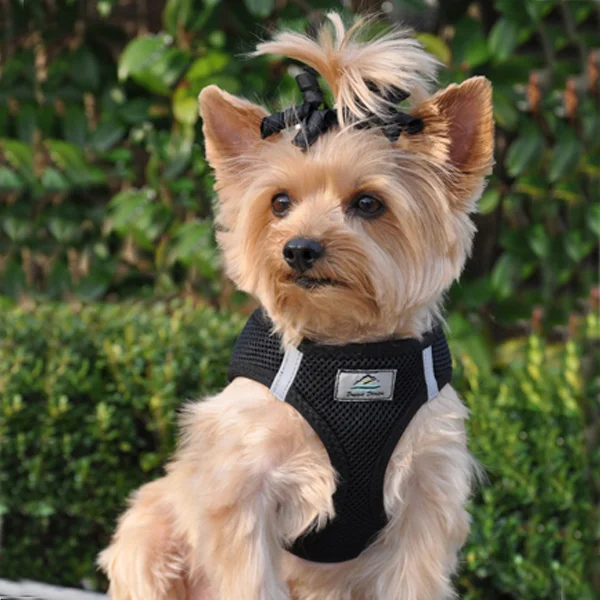 american-river-ultra-chokefree-mesh-dog-harness-black-2.jpg