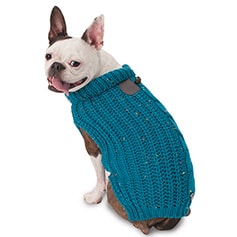 Dog Clothes in Bergen County