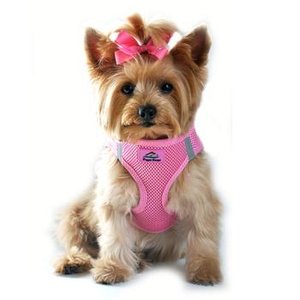 Dog Leashes and Harnesses in Bergen County NJ