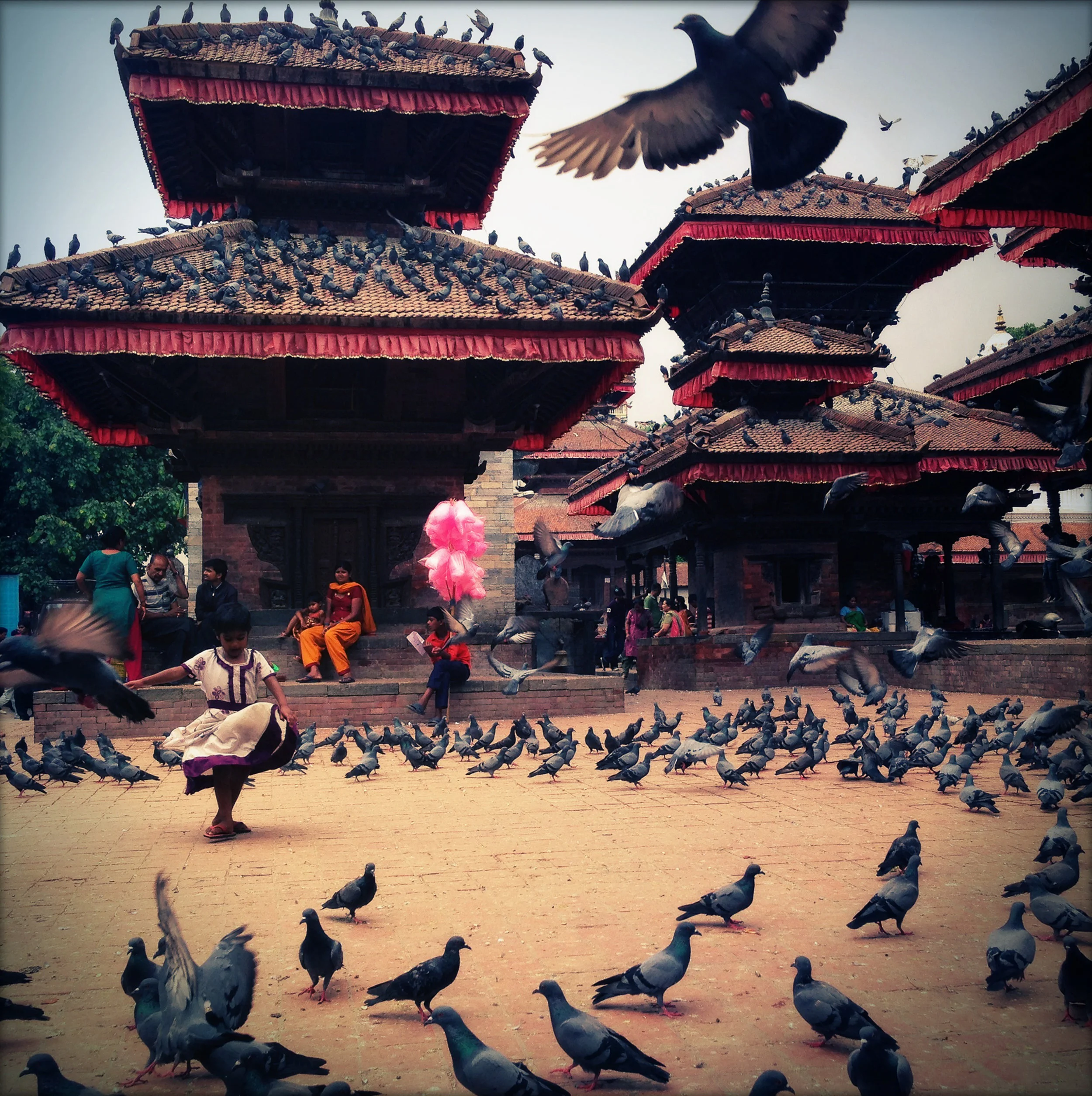 KathmanduBirds.jpg
