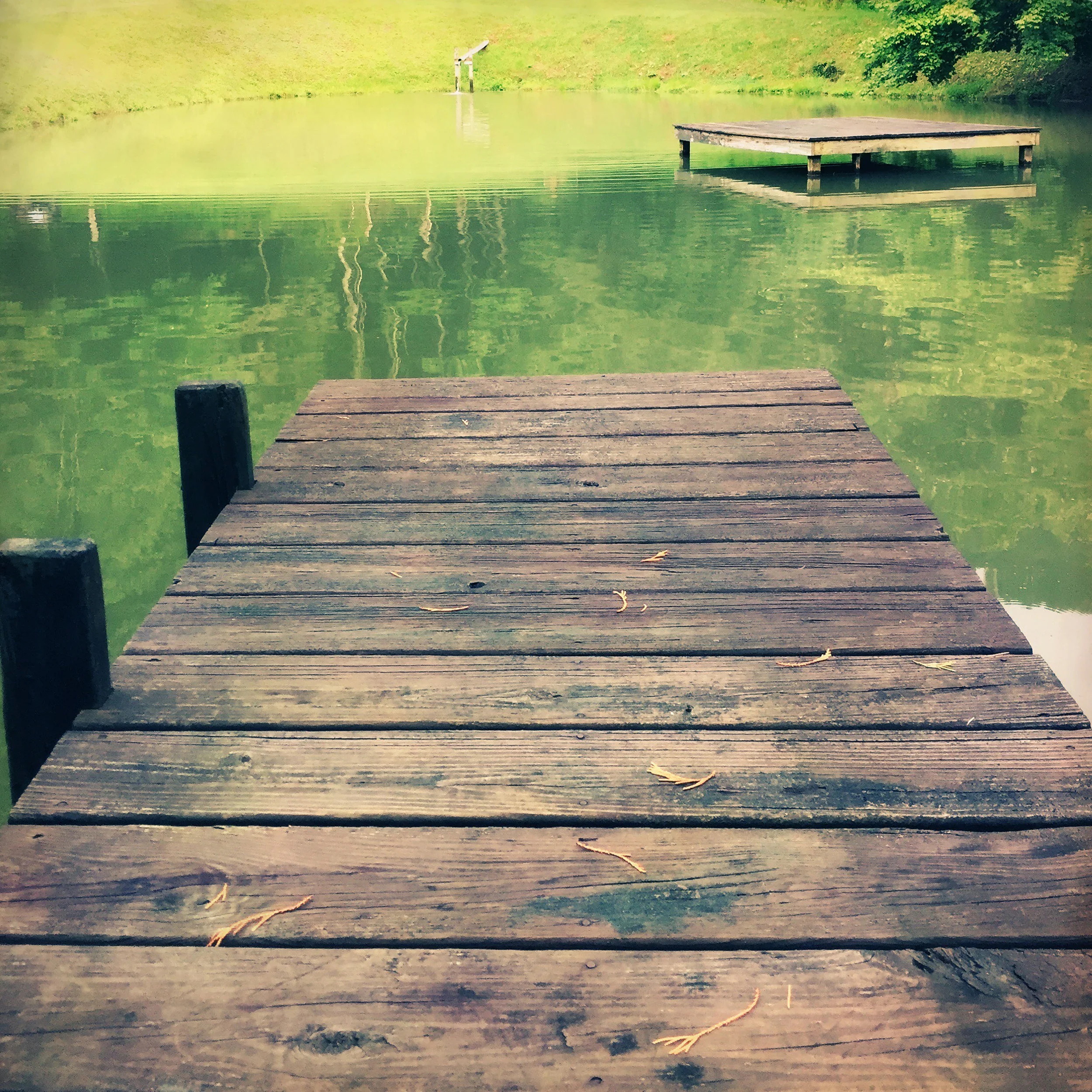 SwimmingPond.jpg
