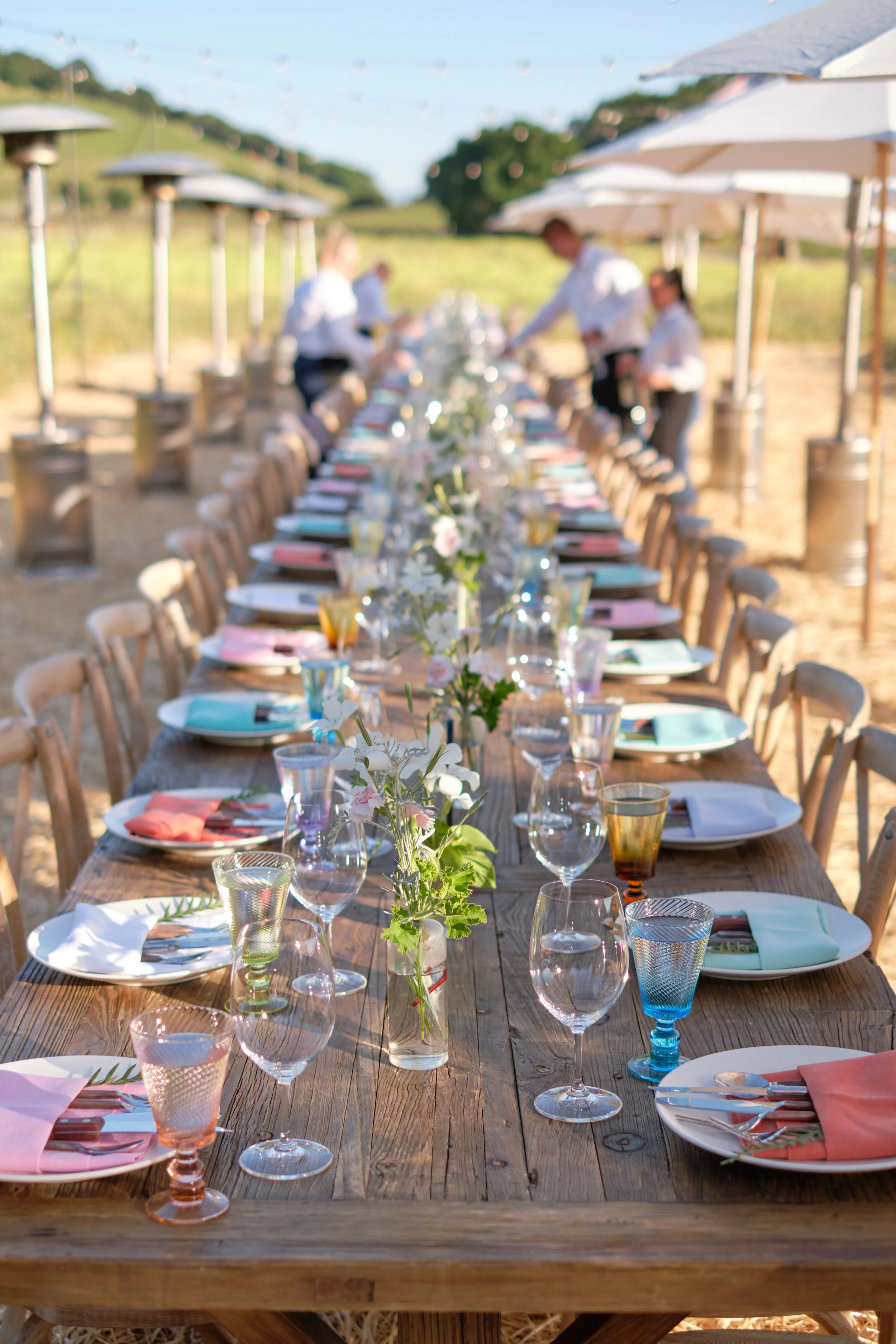 Second Annual May Wine Weekend