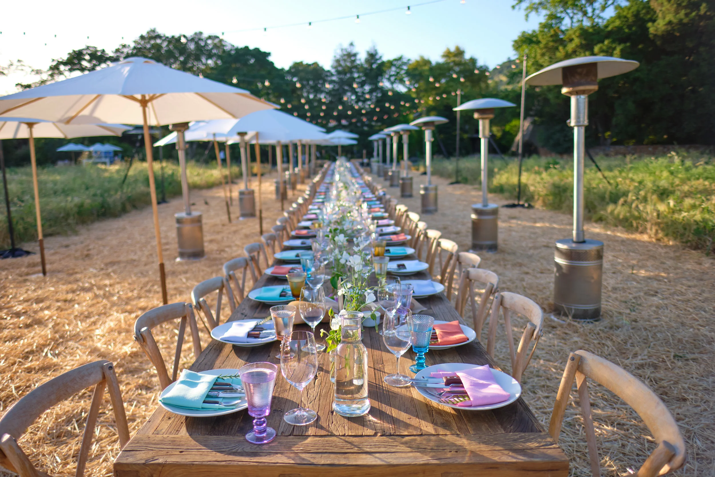 Second Annual May Wine Weekend