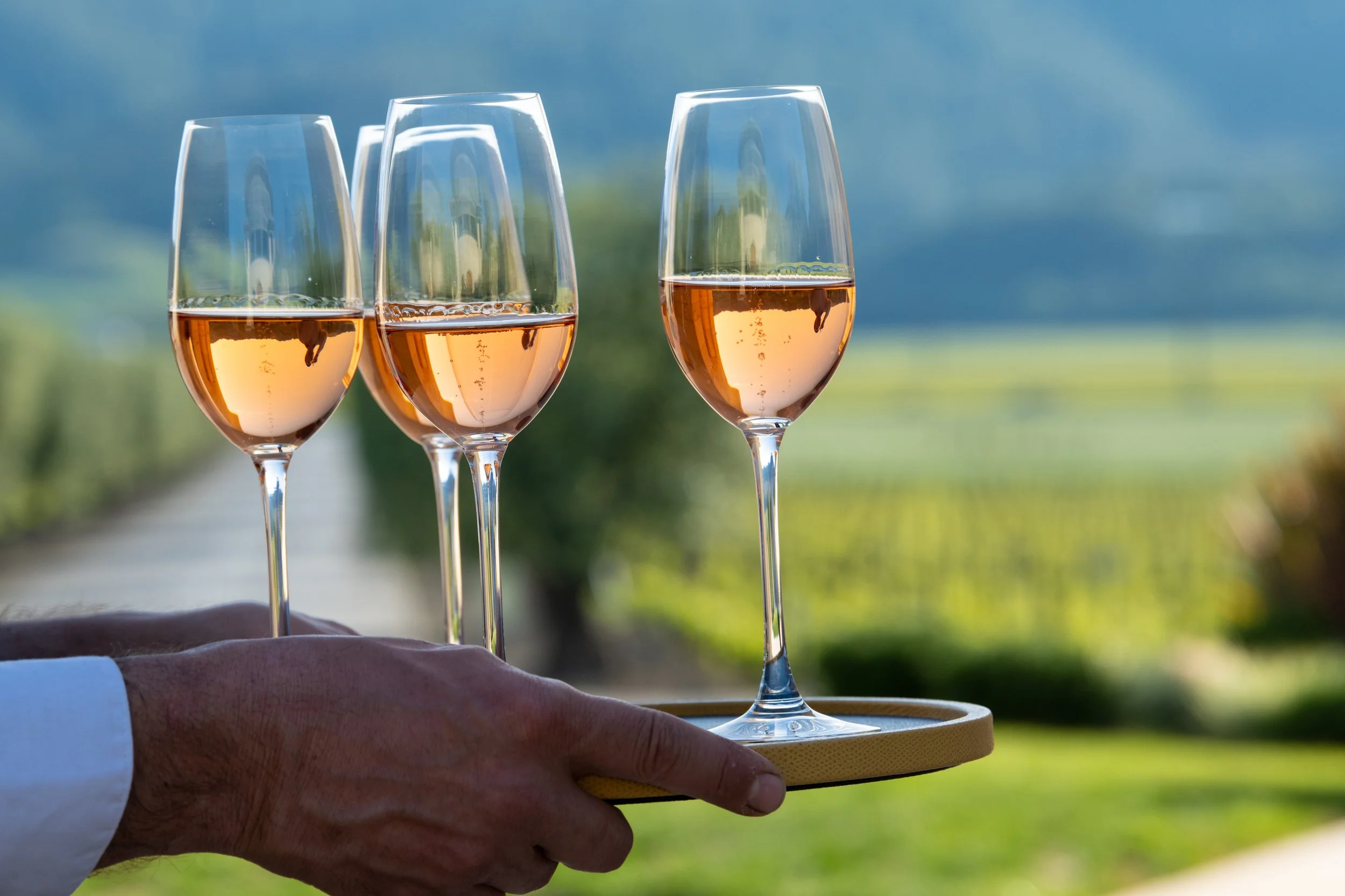 Spring Wine Weekend 2022 - 2.jpg