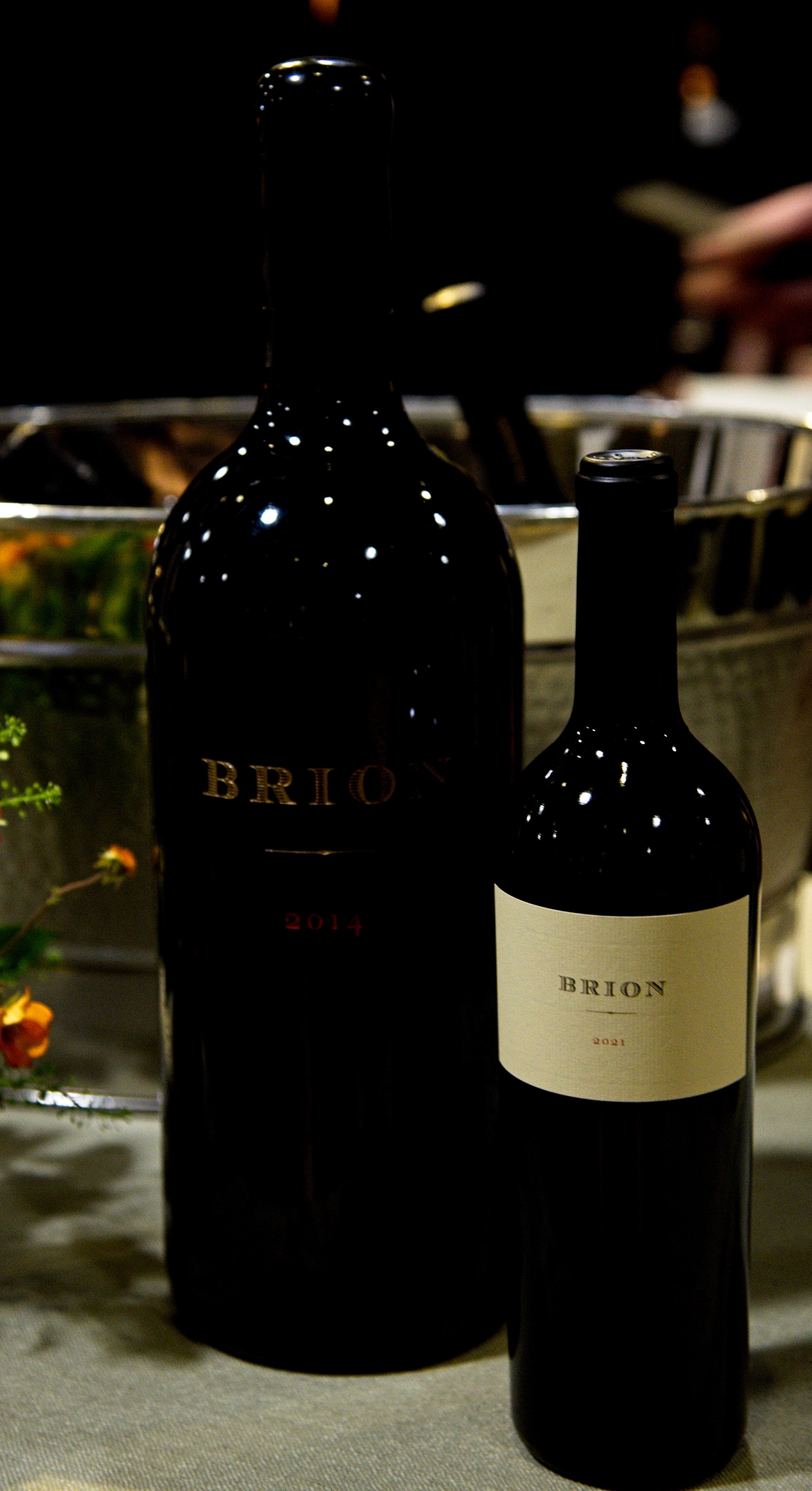 2025.4.26-Inspire.Louie.Martini.ArtClarity--3711.jpg