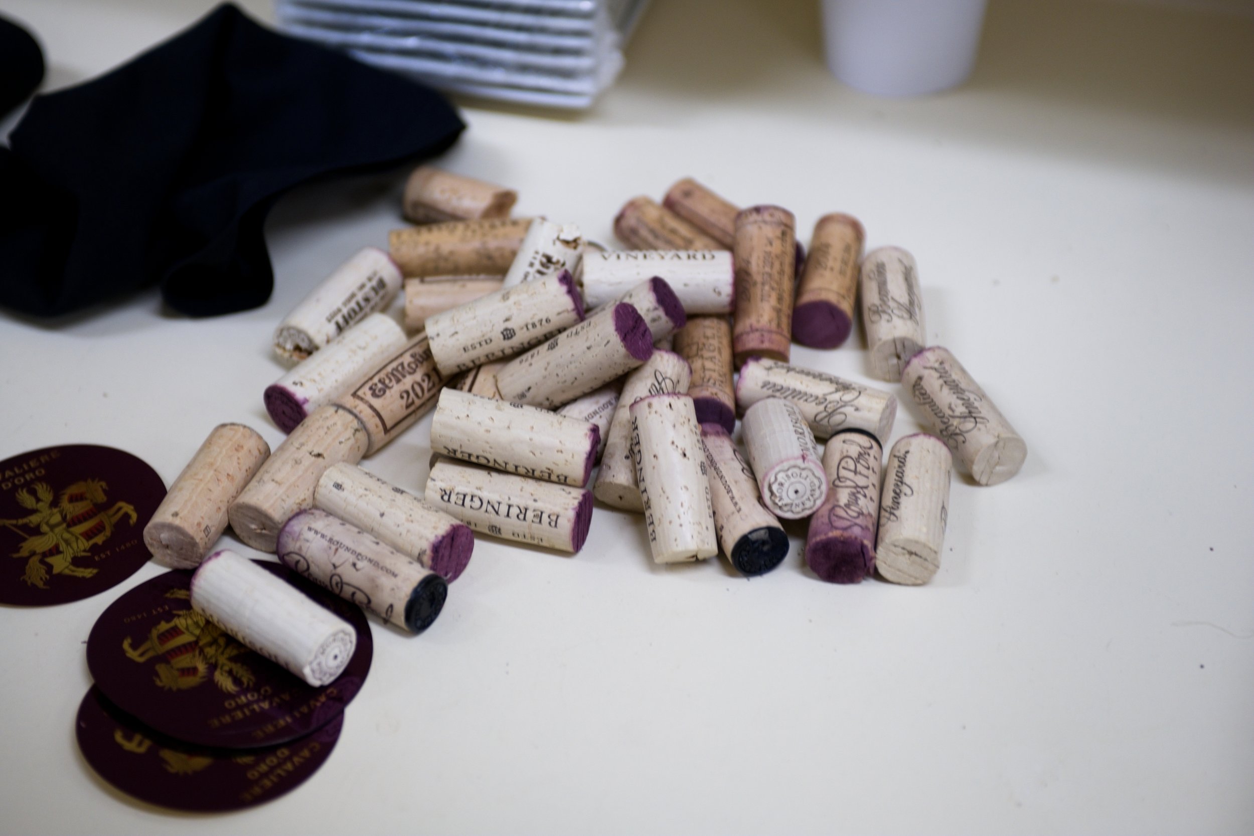 2025.4.26-Inspire.Beringer.ArtClarity--2481.jpg