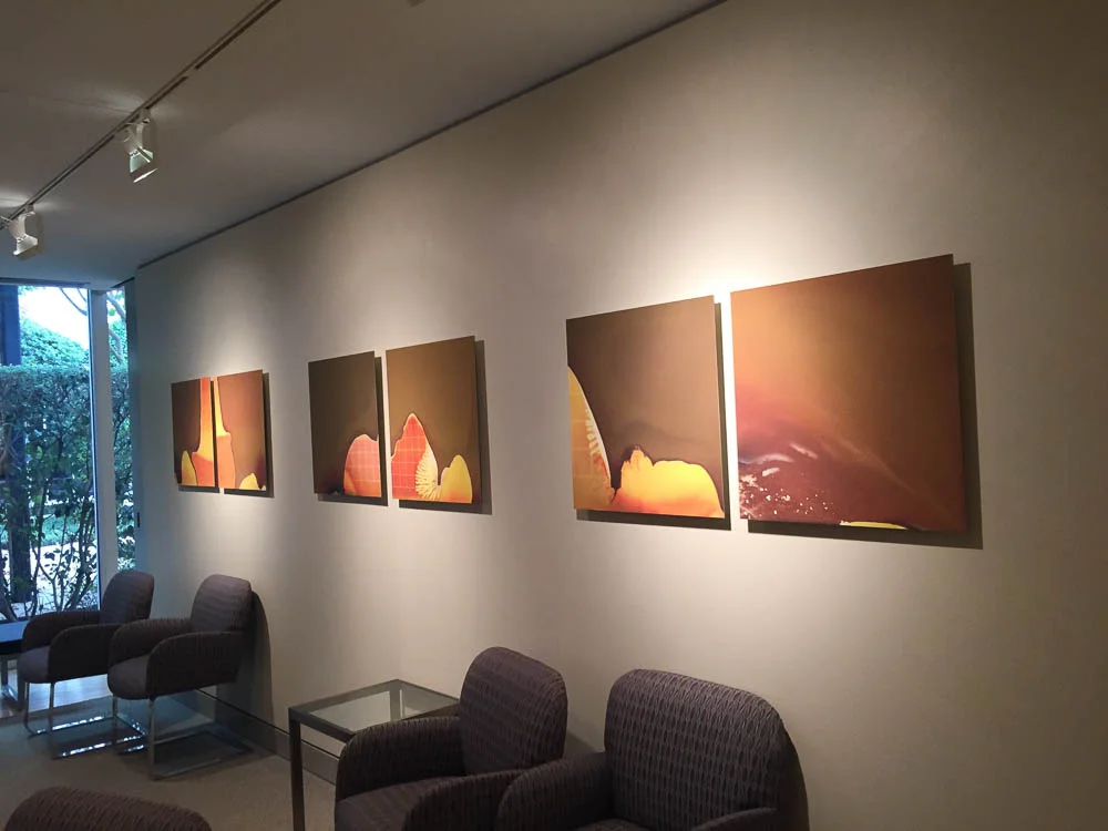 LField-Installation-21.jpg