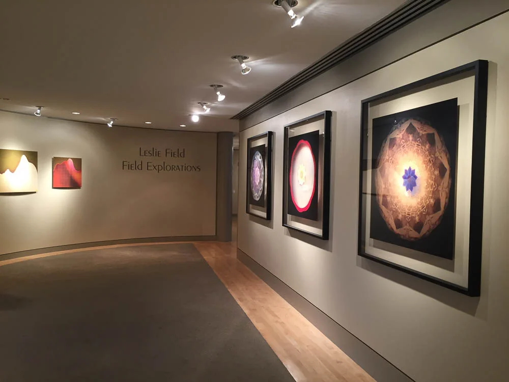 LField-Installation-16.jpg