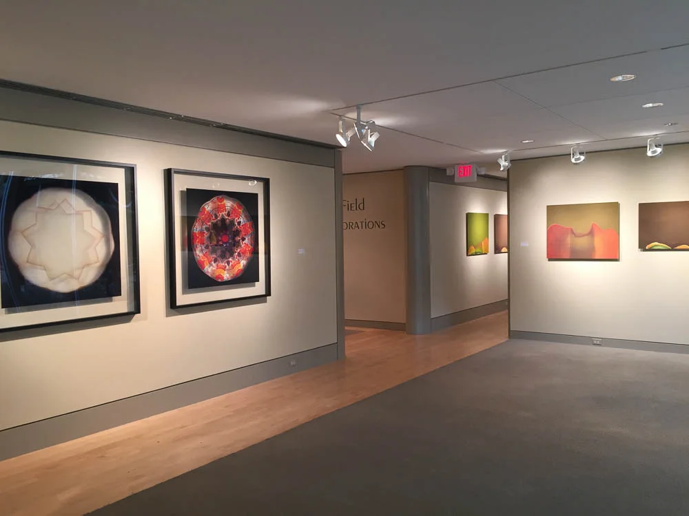 LField-Installation-19.jpg