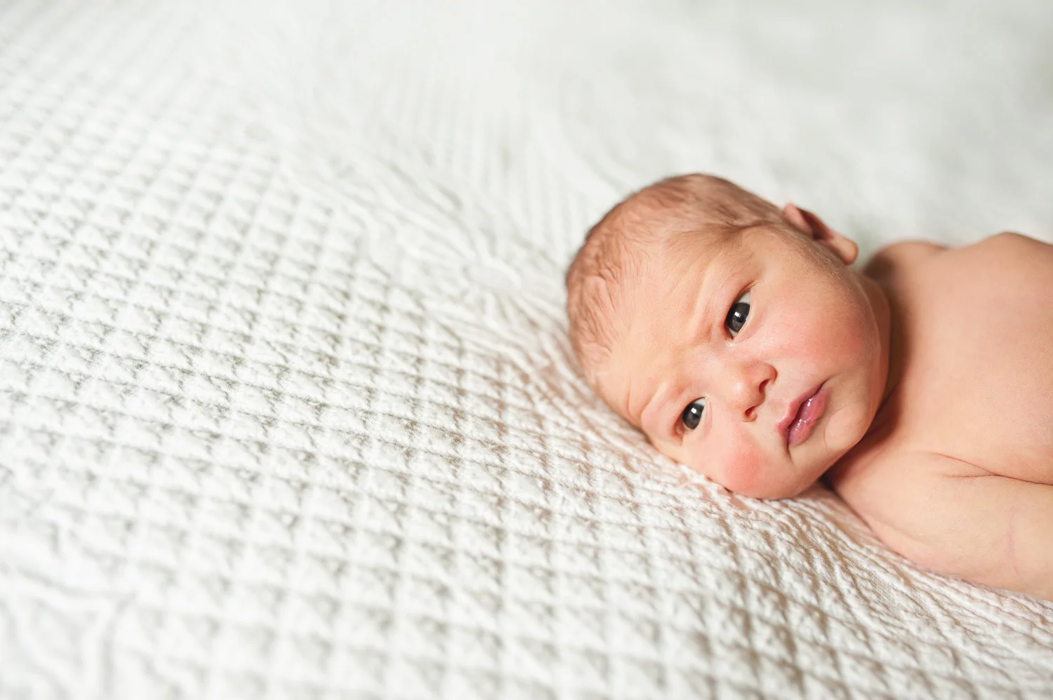 website-newborn005.jpg