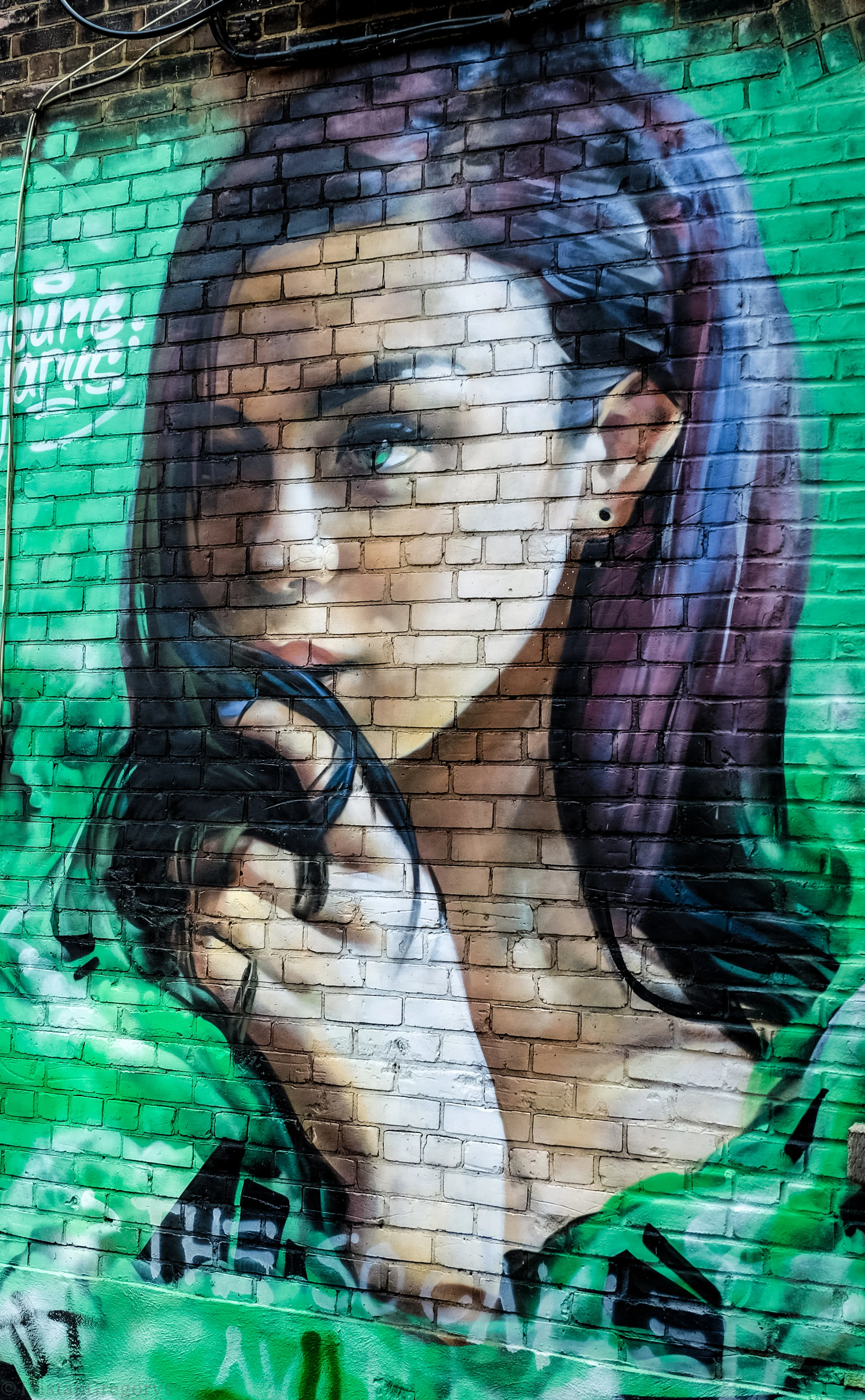 _DSF7940.jpg