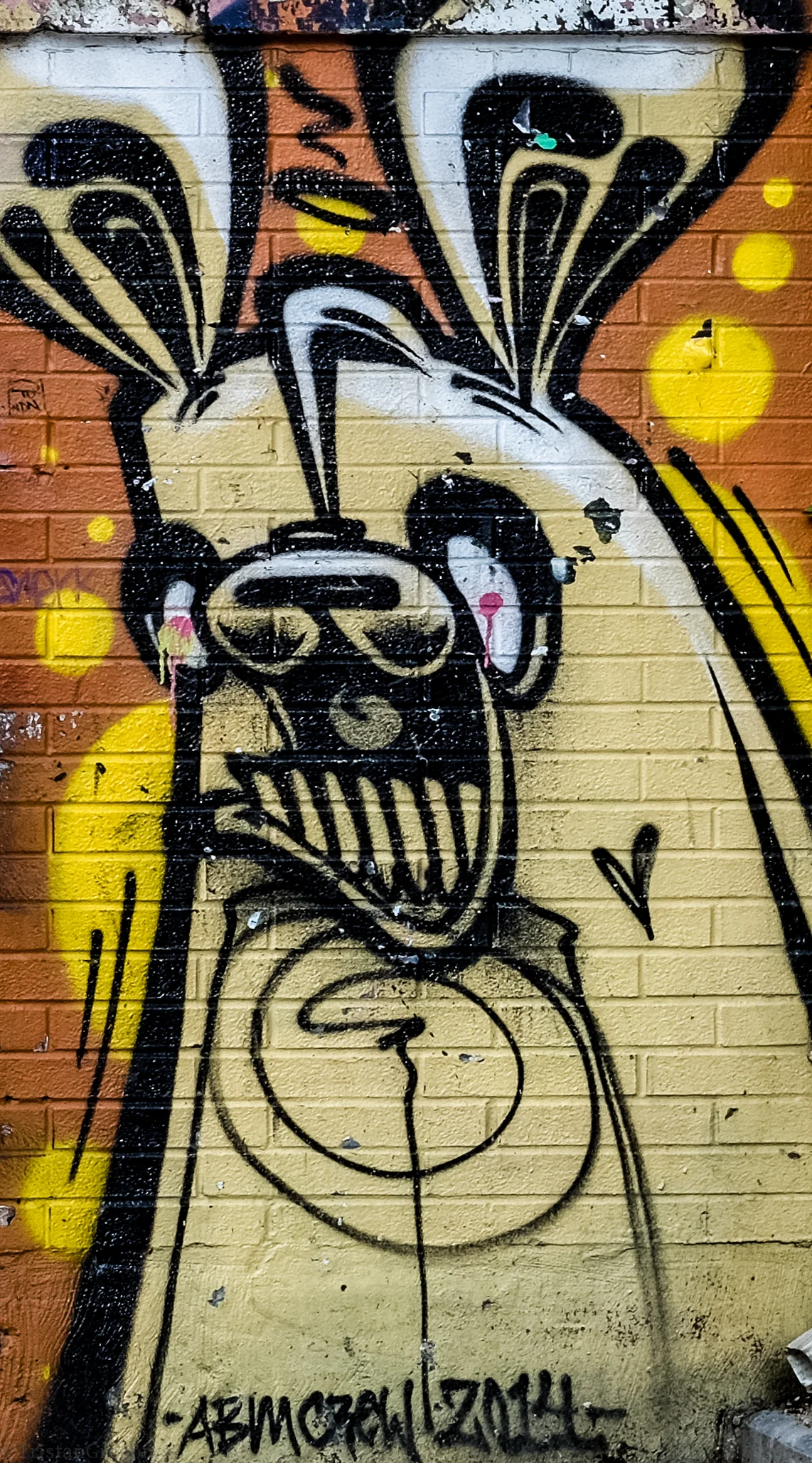 _DSF7998.jpg