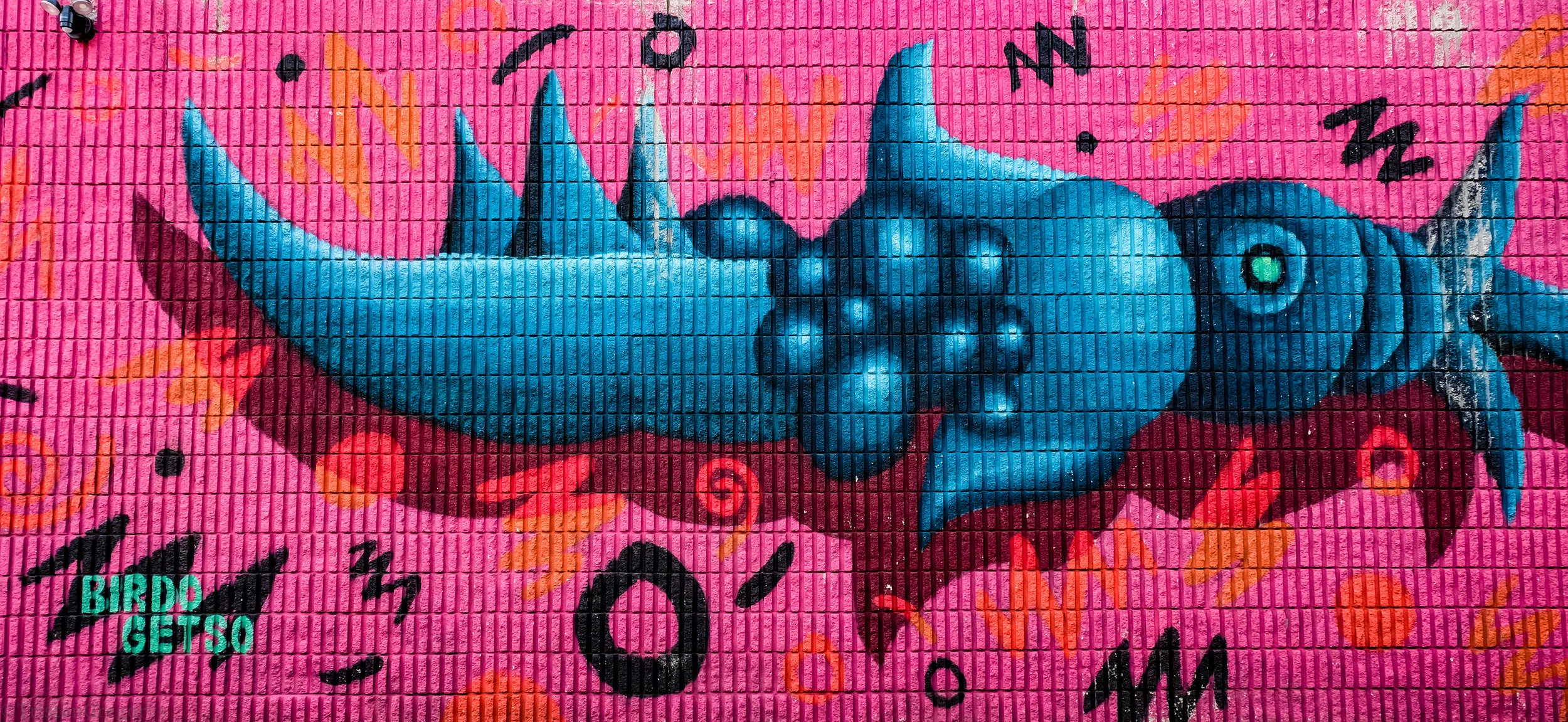 _DSF8096.jpg