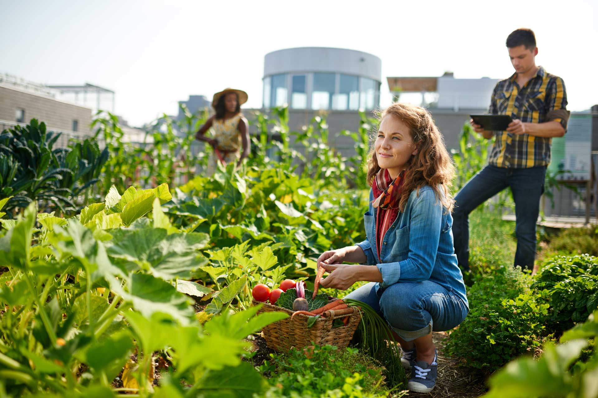 community-garden.jpg
