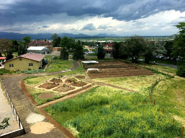 Aria Cohousing featured in the New York Times