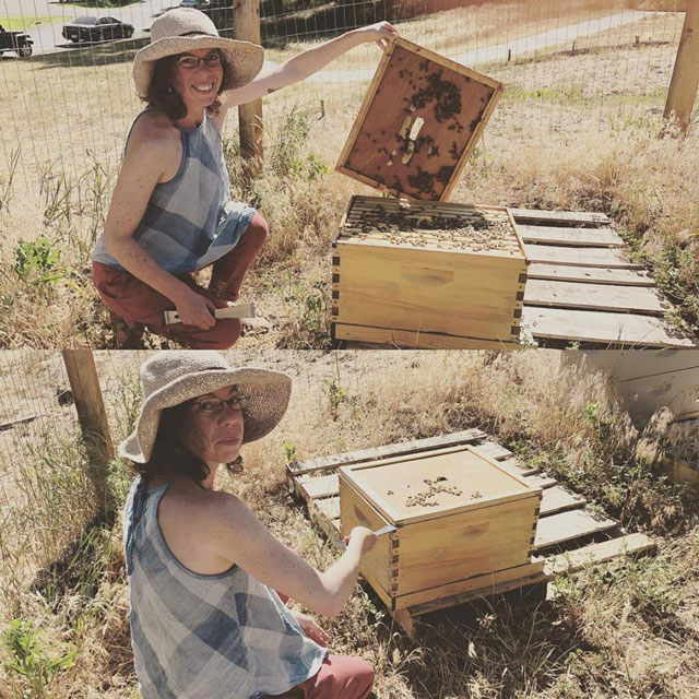 Bee Keeping Class