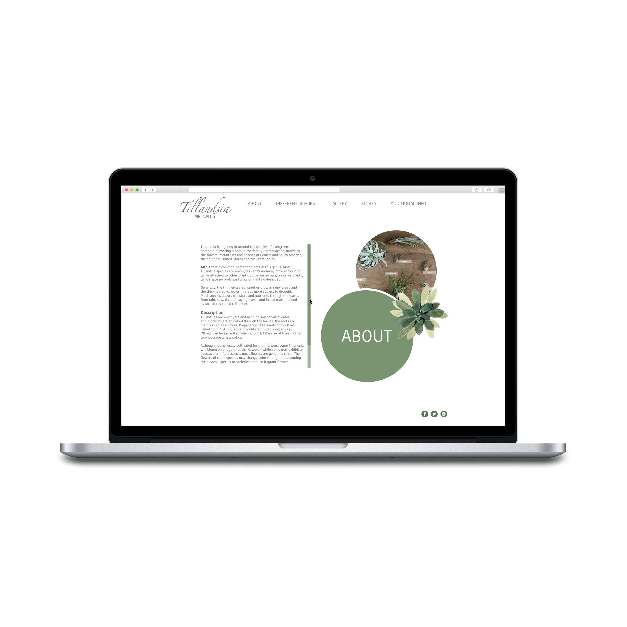 page three set up.jpg