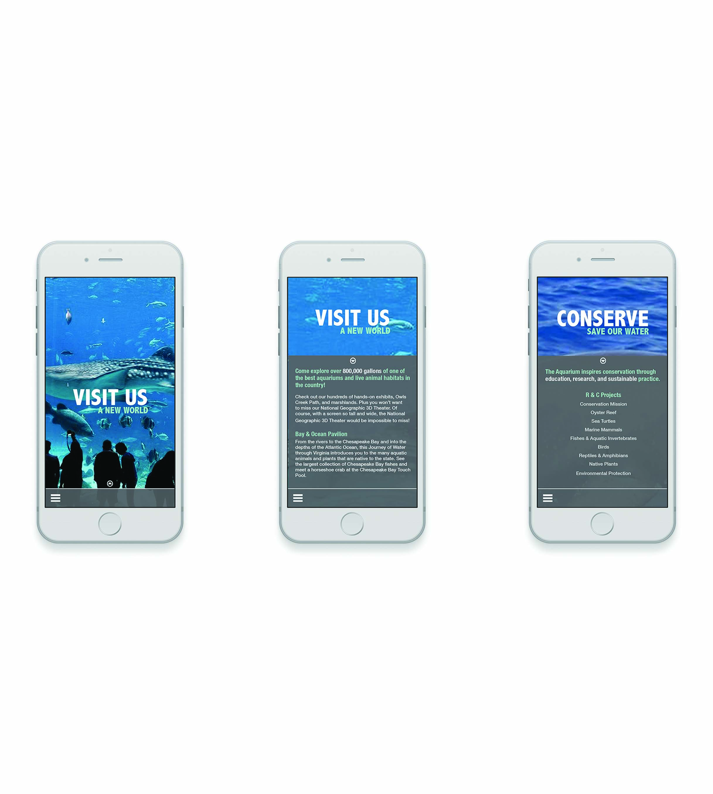 phone cover.jpg