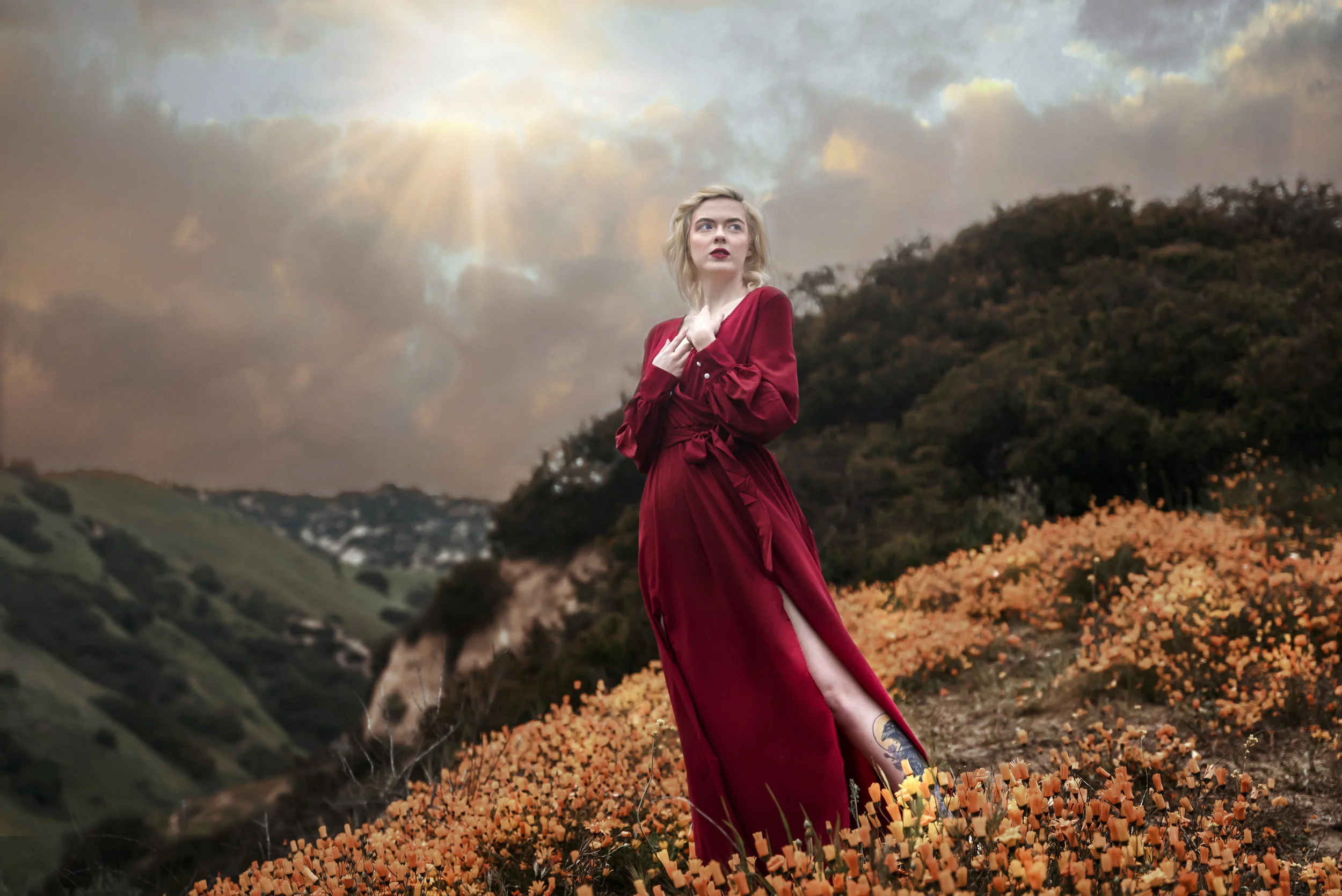TrudyMOylanWildflower17.jpg