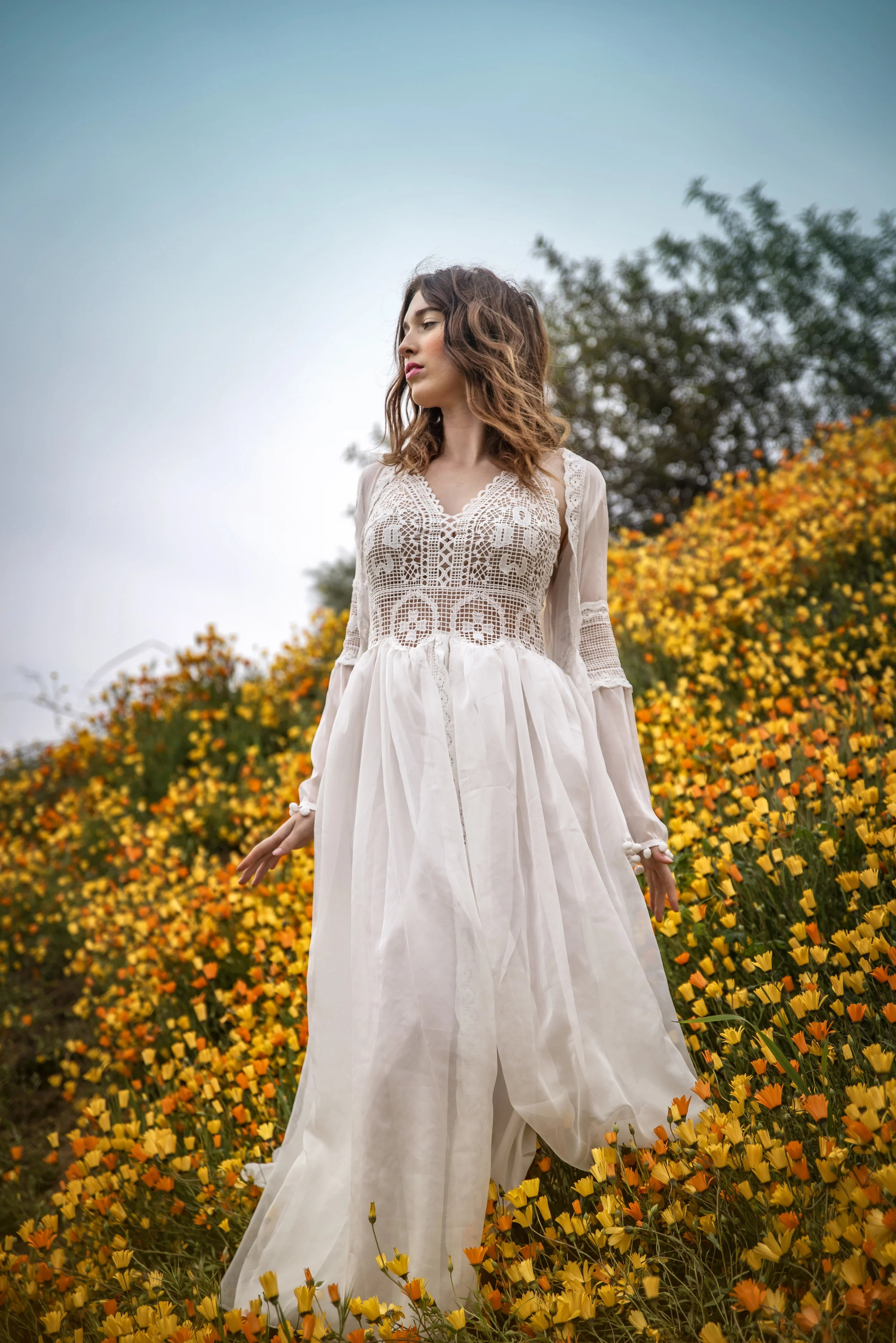 TrudyMoylanWildflower48.jpg