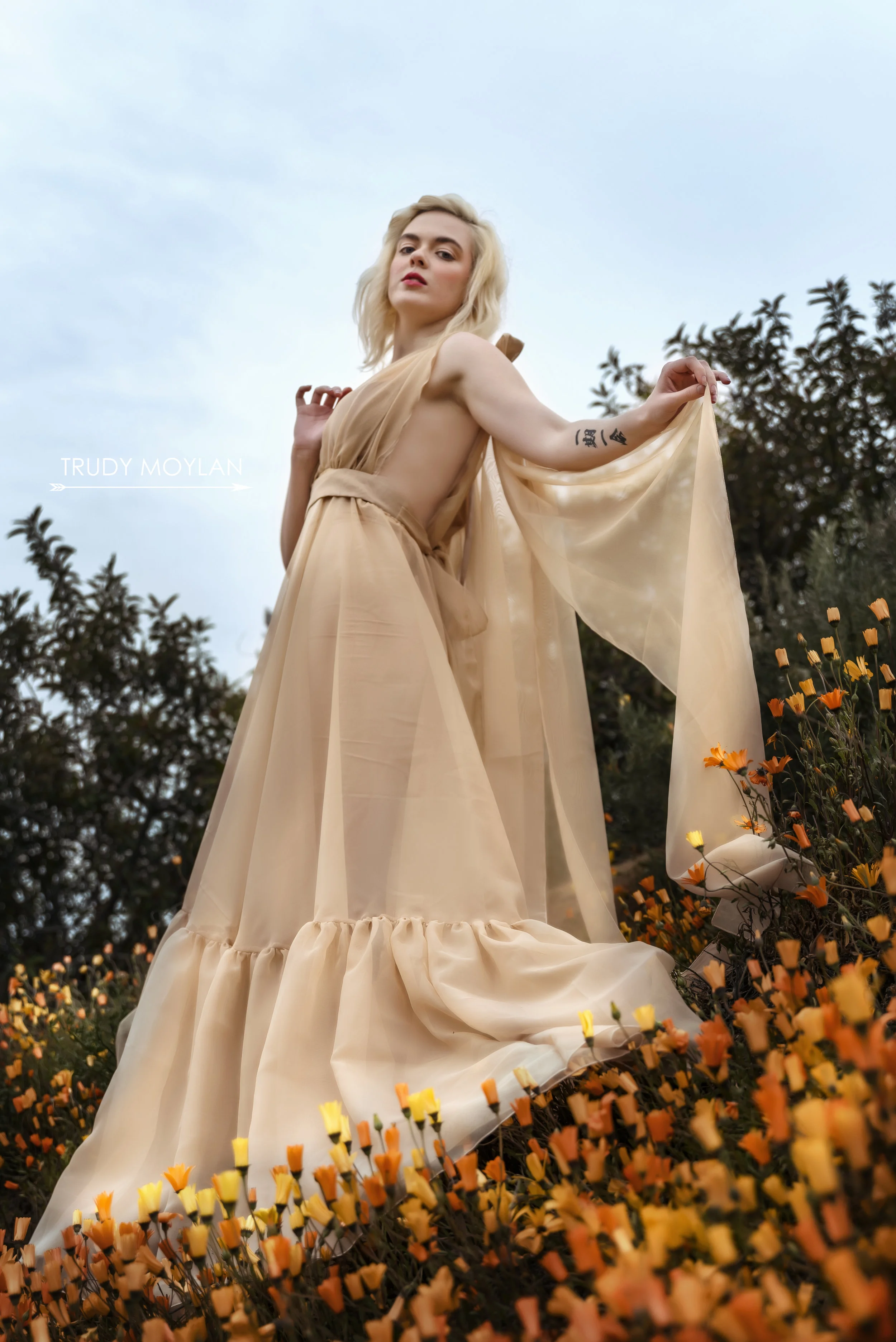 TrudymOylanWildflower50wt.jpg