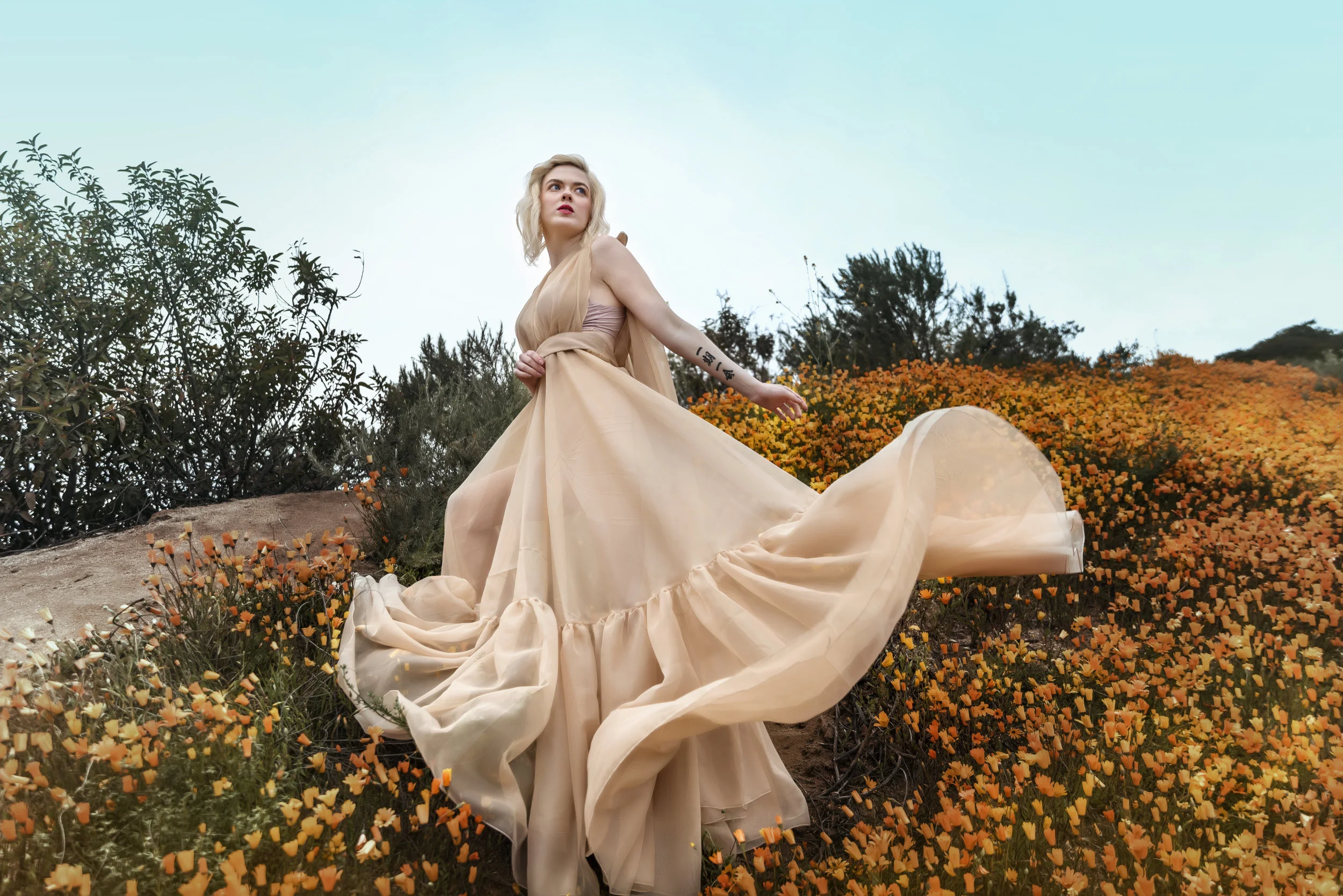 TrudyMOylanWIldflower51.jpg
