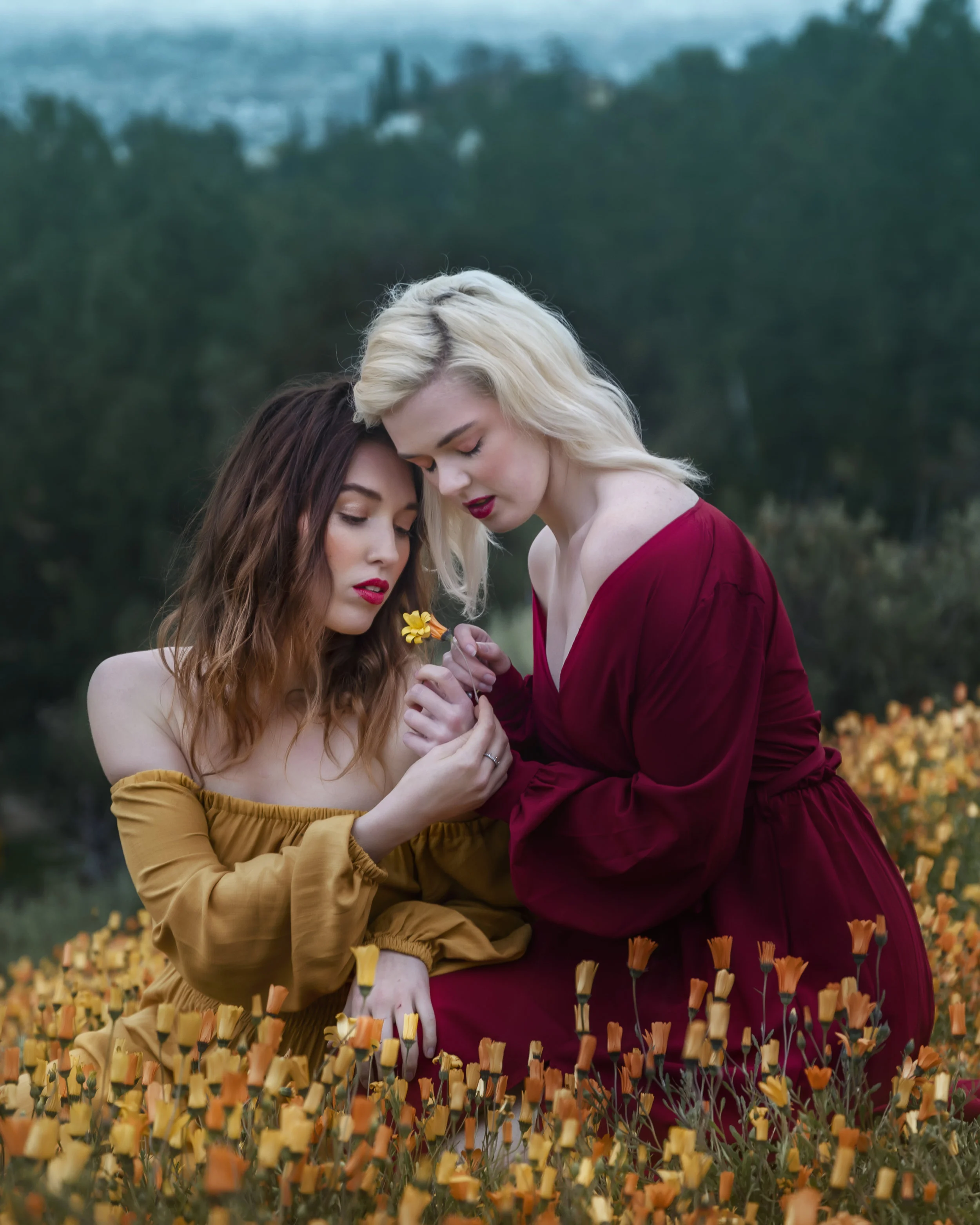 TrudyMoylanWIldflower66.22.jpg