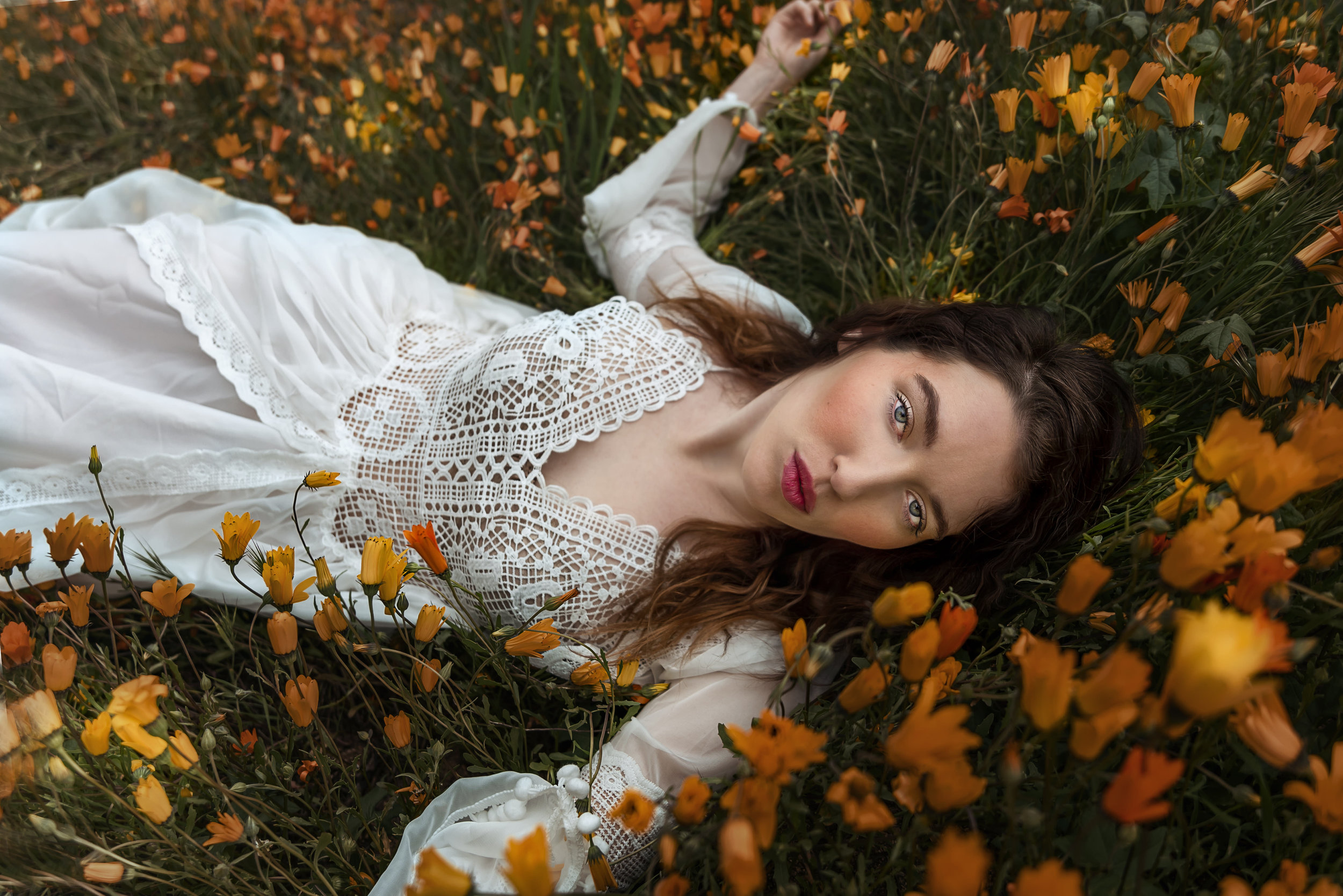 TrudyMOylanWildflowers3..jpg